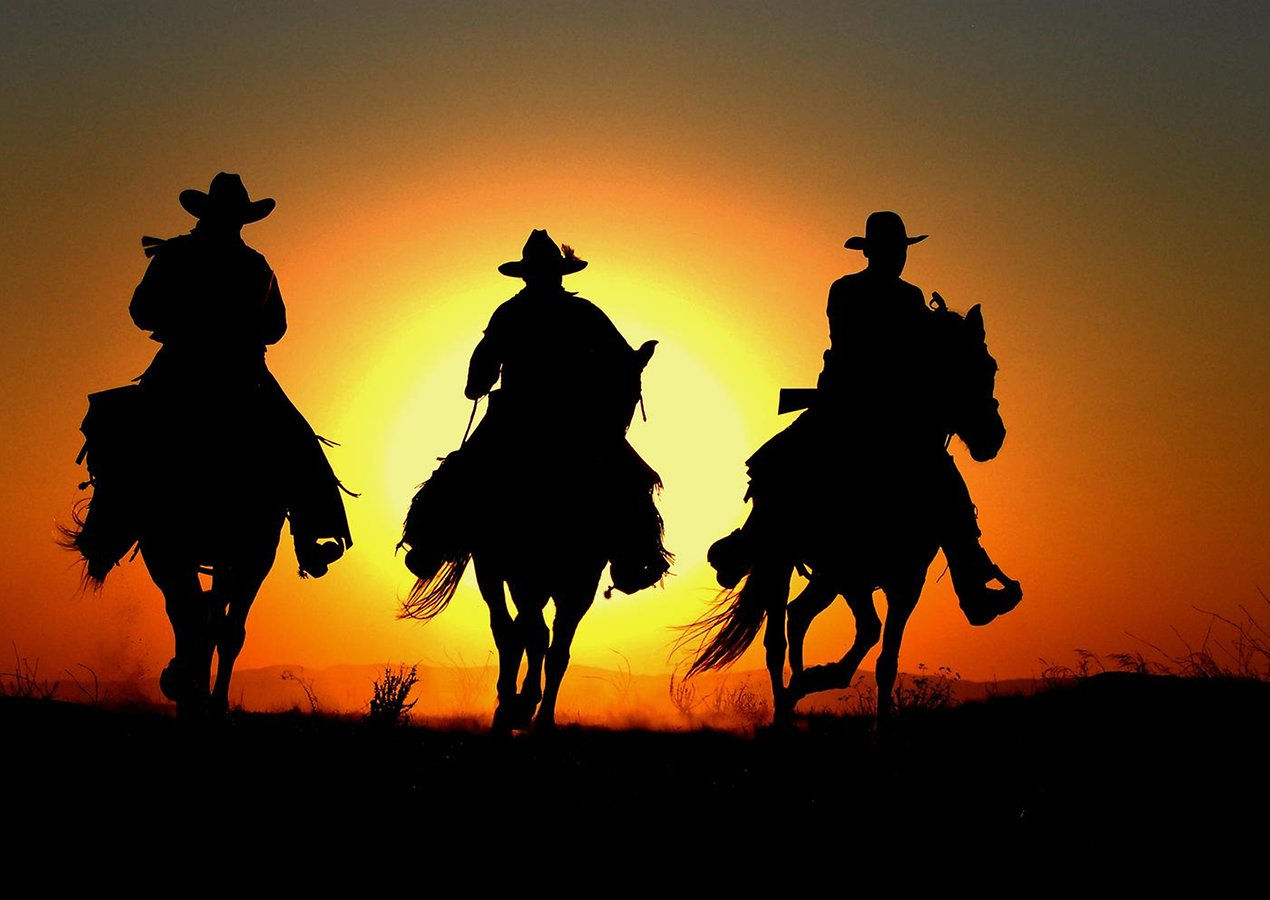 Wallpaper #DR2ZLJMBlOZrFDOkSMvb103 Rodeo Wallpaper Wallpapersafari
