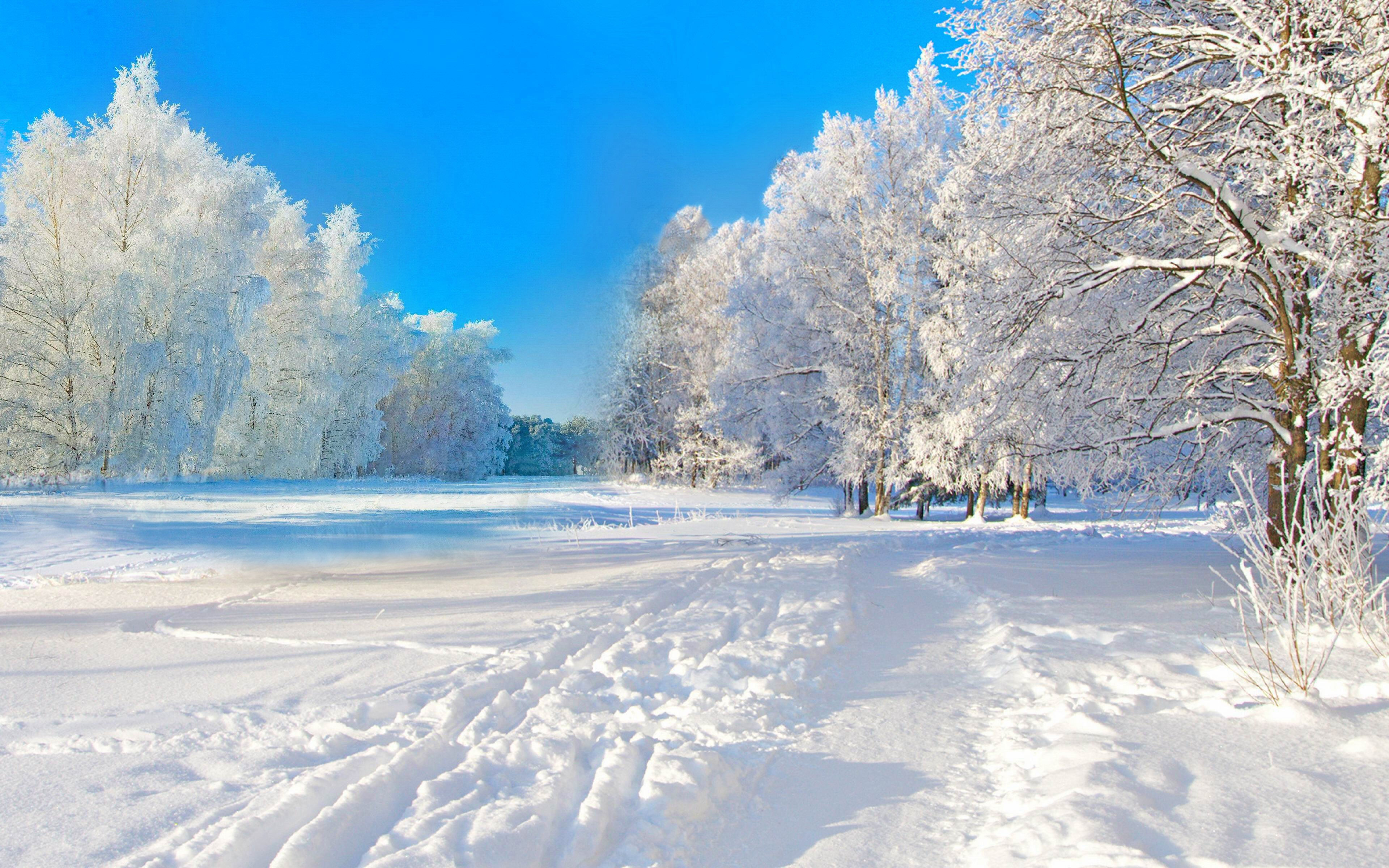 Wallpaper #yJyF4pIBZHQxiYarucCZ52 100 4K Winter Wallpapers Wallpapersafari