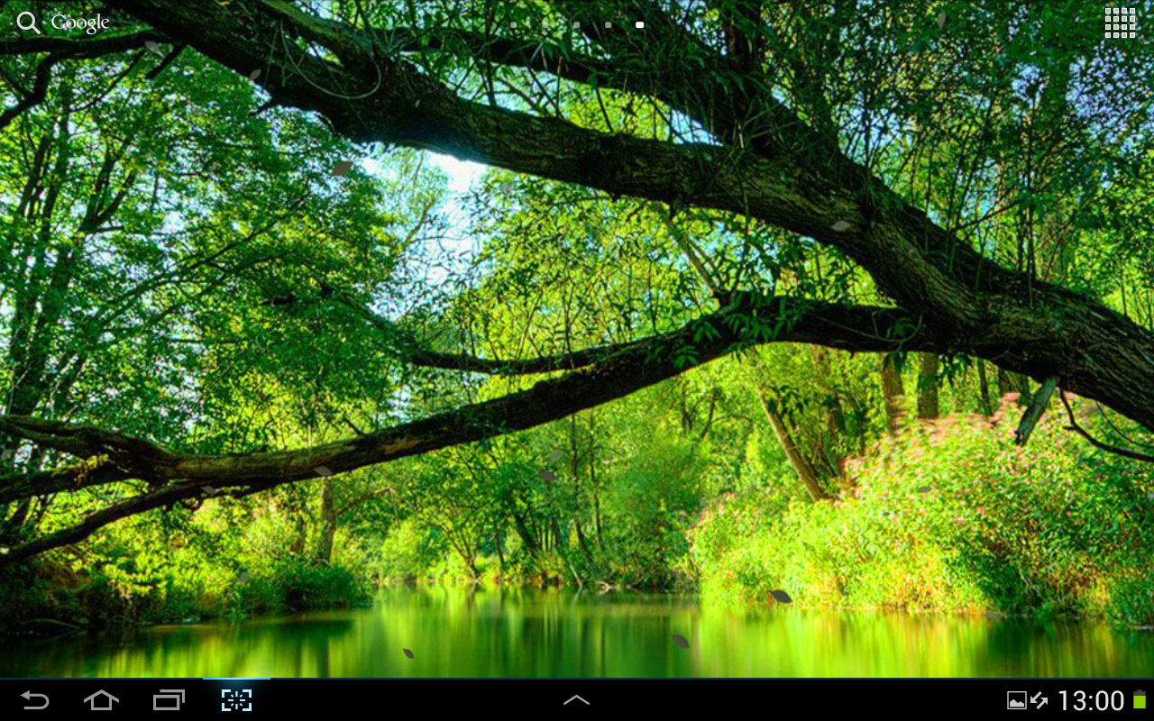 Wallpaper #K31B9I4Bnwiau_P6bQ_d37 20 Nature Live Wallpaper for Mobile Basty Wallpaper