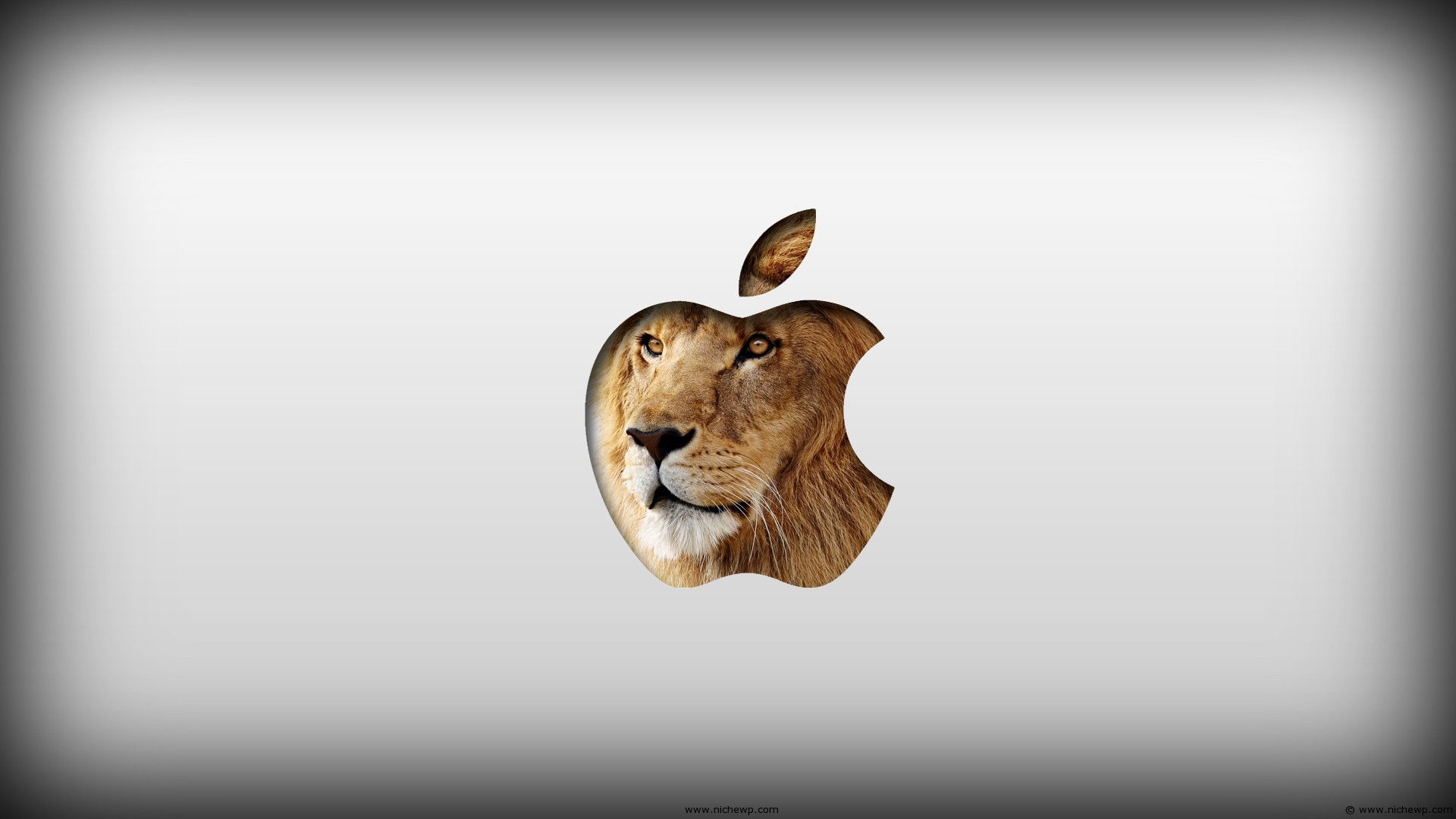 Wallpaper #Sz-jO5MBLiIJ4c9Oy4-H153 50 Mac Lion Wallpapers Wallpapersafari