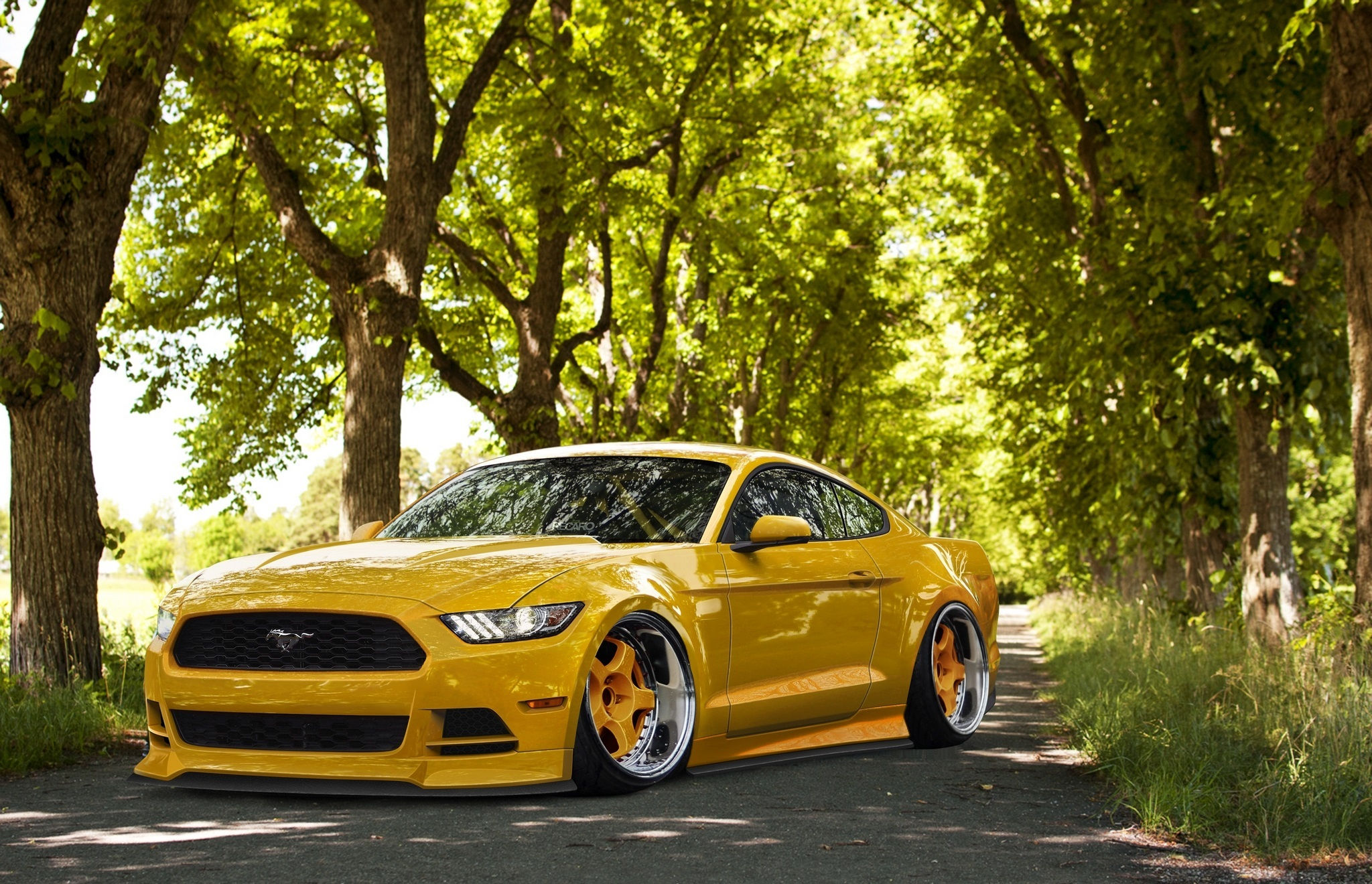 Wallpaper #qnRNxY4B_8f4nGFafnCp41 Yellow 2015 Mustang Wallpaper Wallpapersafari