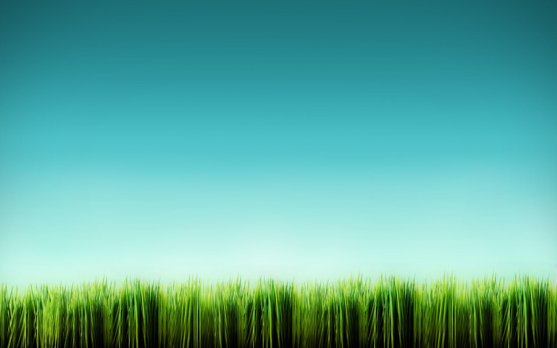 Wallpaper #GSyrSpMB0E1QgA7wSfdY92 Free Download Sky Grass Cool Backgrounds 1920x1200 for Your Desktop