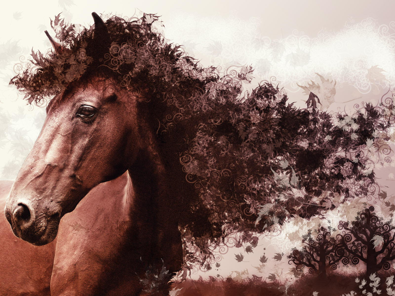 Wallpaper #Q31n8I4Bnwiau_P6UwYf46 Cool Horse Wallpapers for iPhone Wallpapersafari