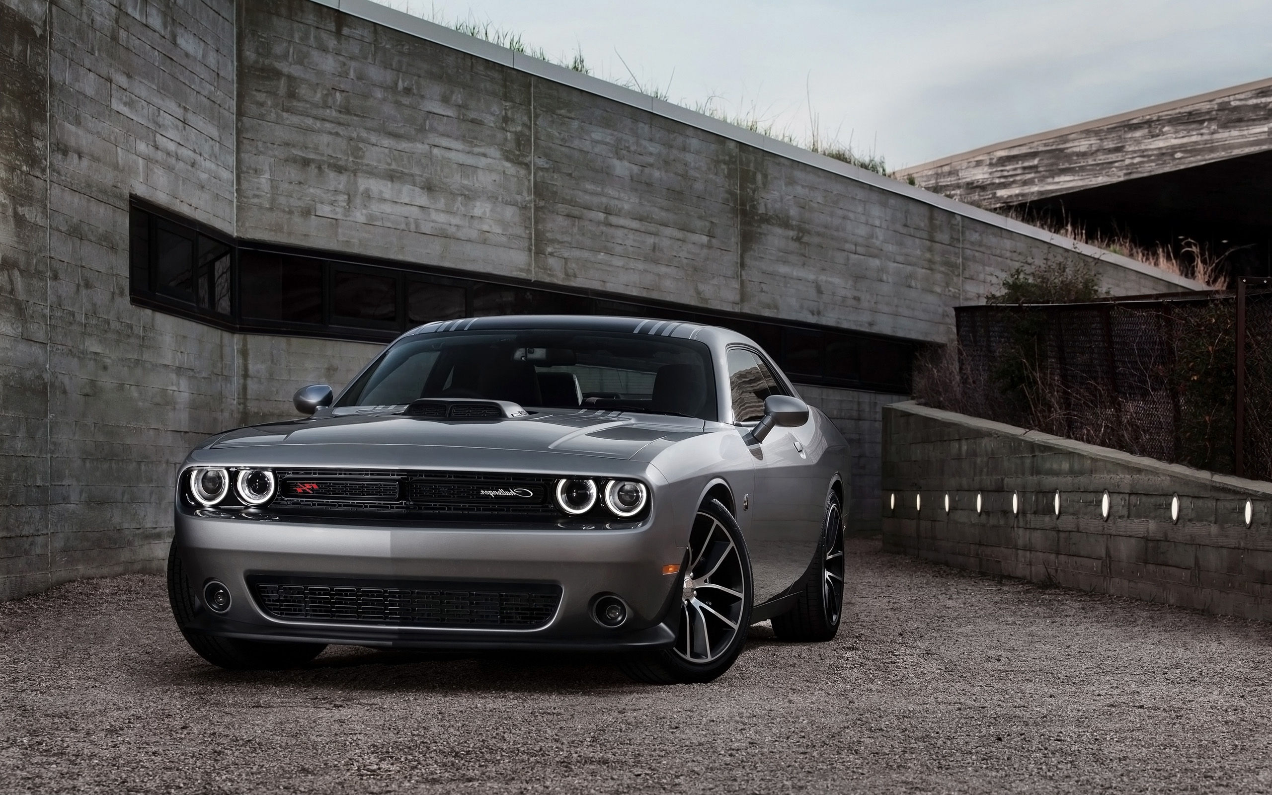 Wallpaper #-f_Ma5MB3lSXT3zUB-gi242 Dodge Challenger Wallpaper Wallpapersafari