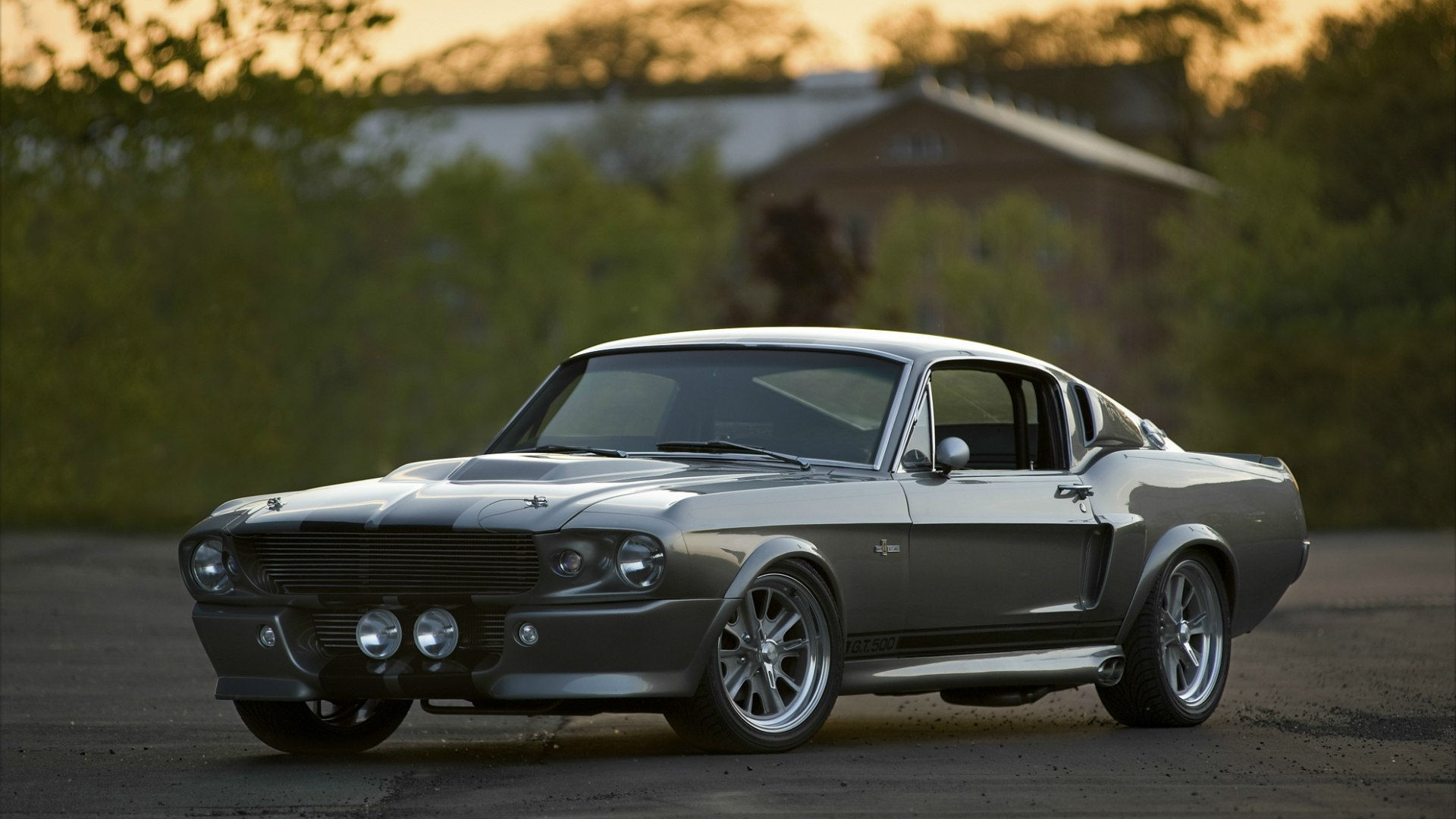 Wallpaper #G0C3L5MBJhL2WPbaxL7T91 Eleanor Gt500 Wallpaper
