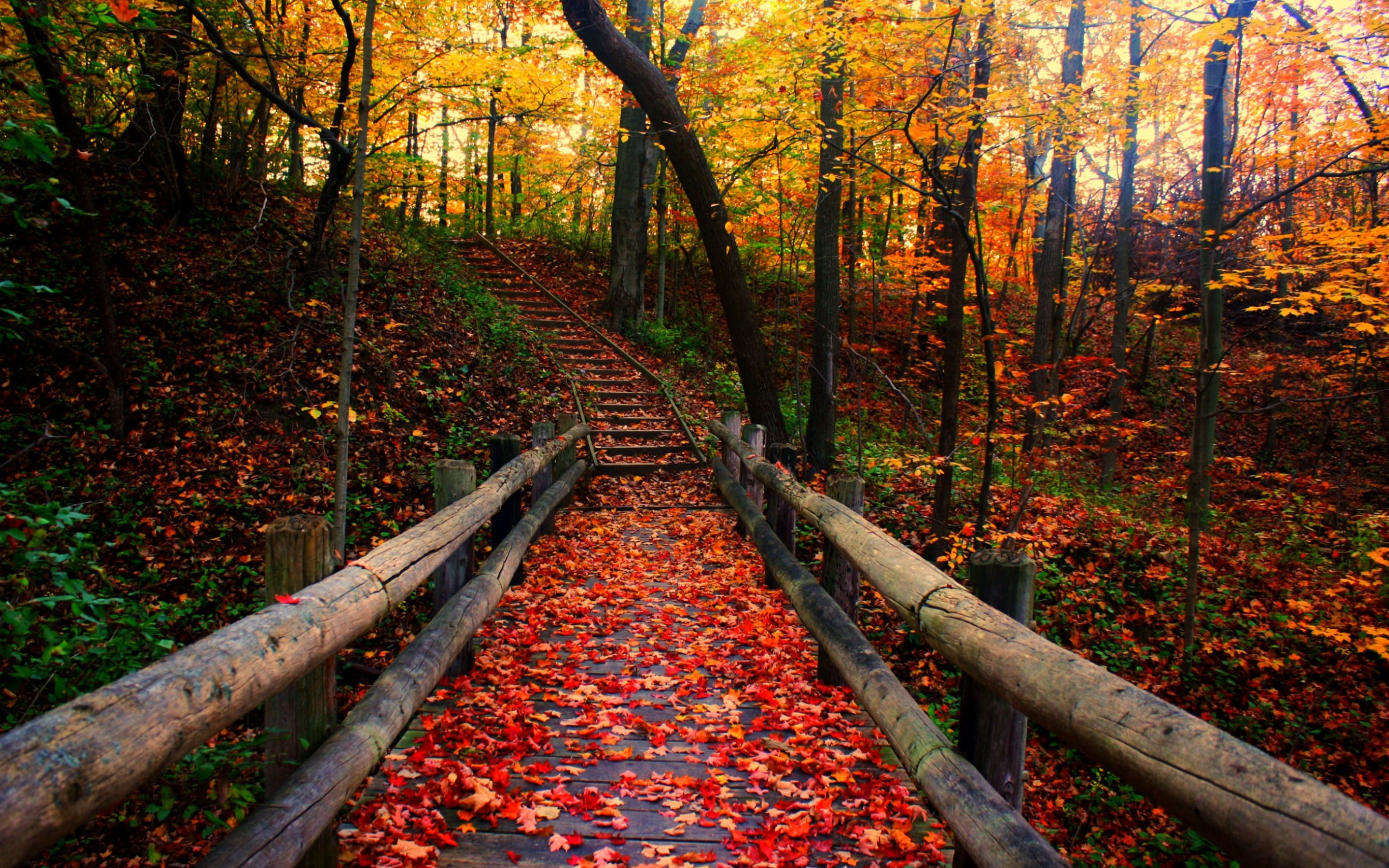 Wallpaper #s-9ES5MBMN-XEVvVNzoH213 90 Free Mountain Autumn Wallpapers Wallpapersafari