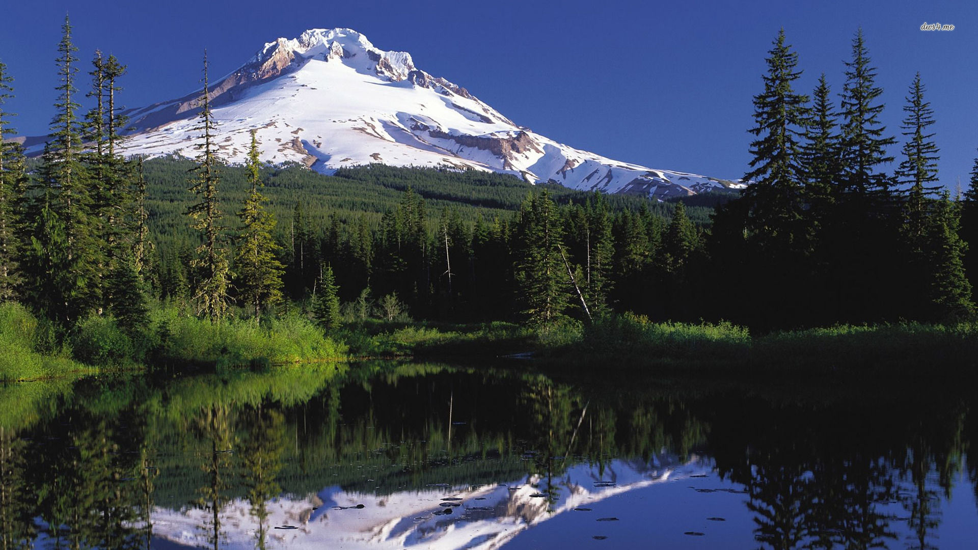 Wallpaper #ABqmUZMB1yWOL4qg0IJH273 Mount Hood Wallpaper Wallpapersafari