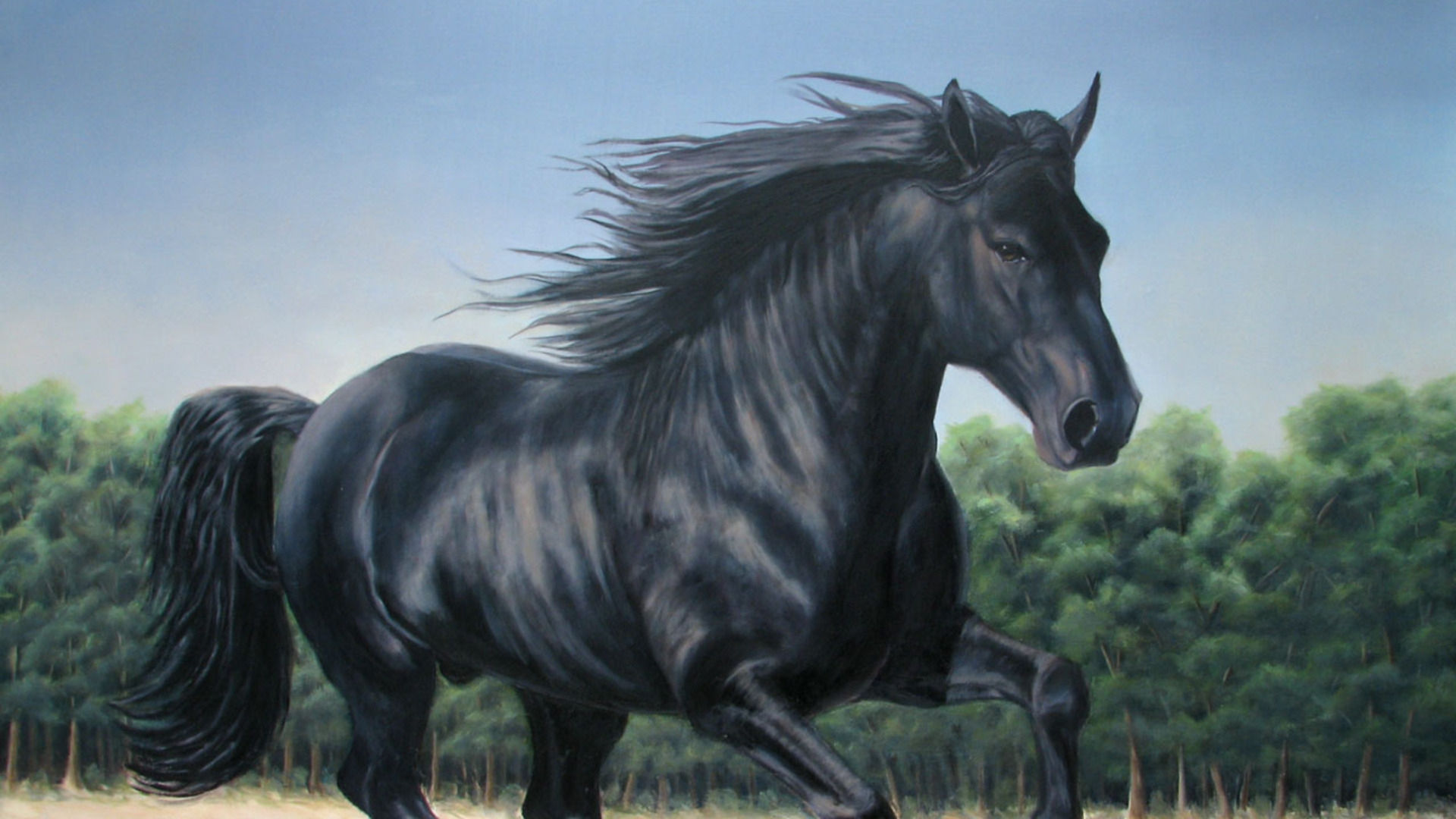 Wallpaper #bWfaEpMBSpphPi3-4_0h223 Free Download Black Horse Wallpaper Photos of Beautiful Black Horse