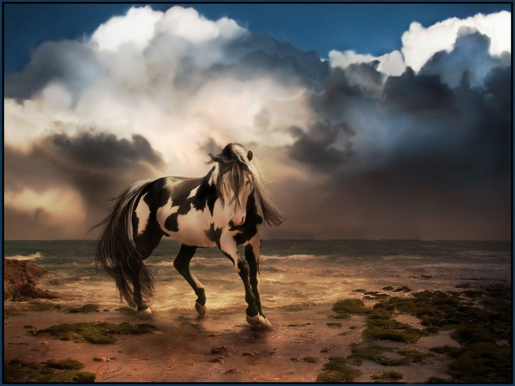 Wallpaper #HWdNCpMBSpphPi3-pNQH172 48 Horse Desktop Wallpapers Themes Wallpapersafari