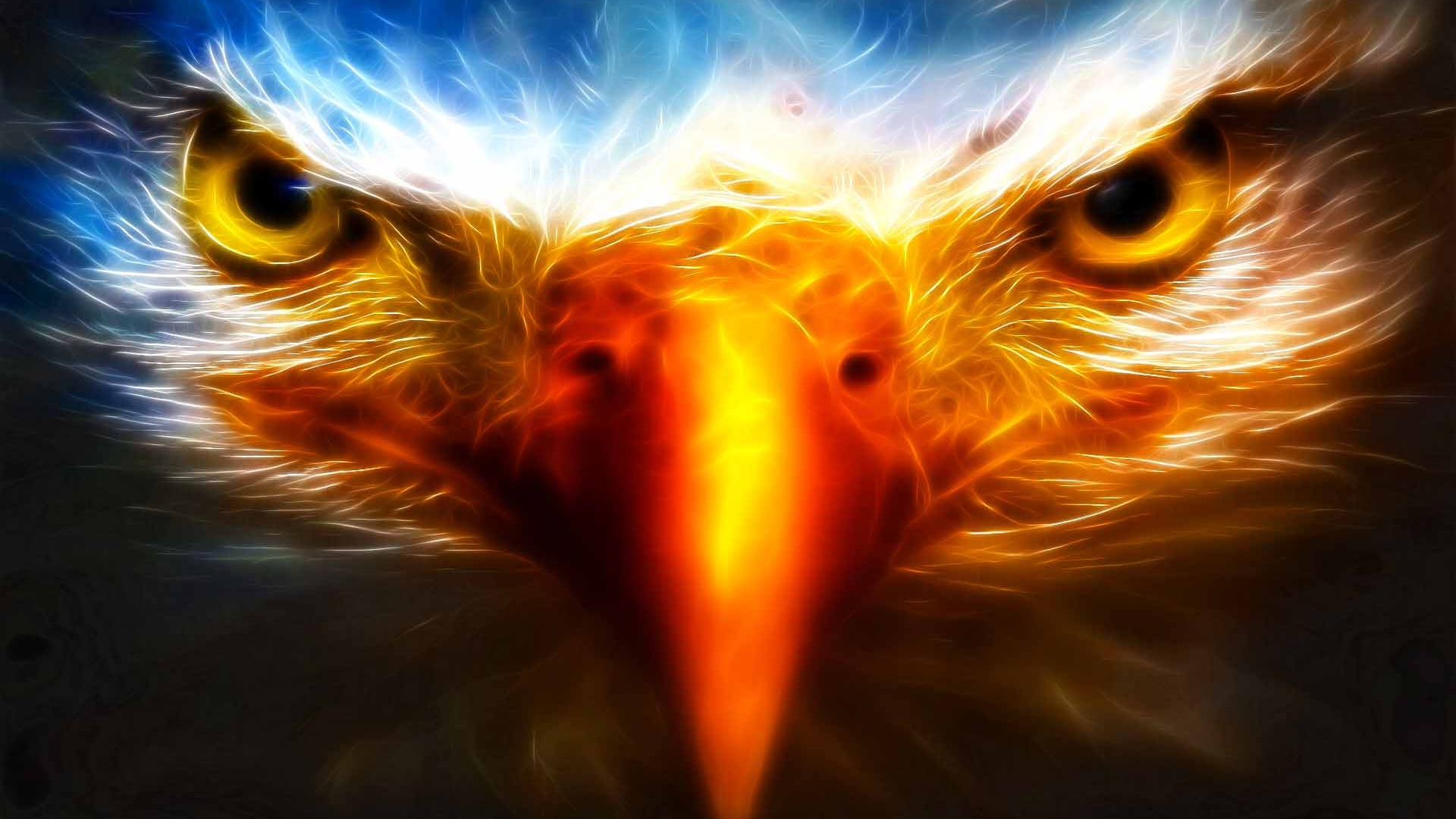 Wallpaper #QWhIF5MBSpphPi3-SQ6S306 41 Eagle Pictures Wallpapers Wallpapersafari