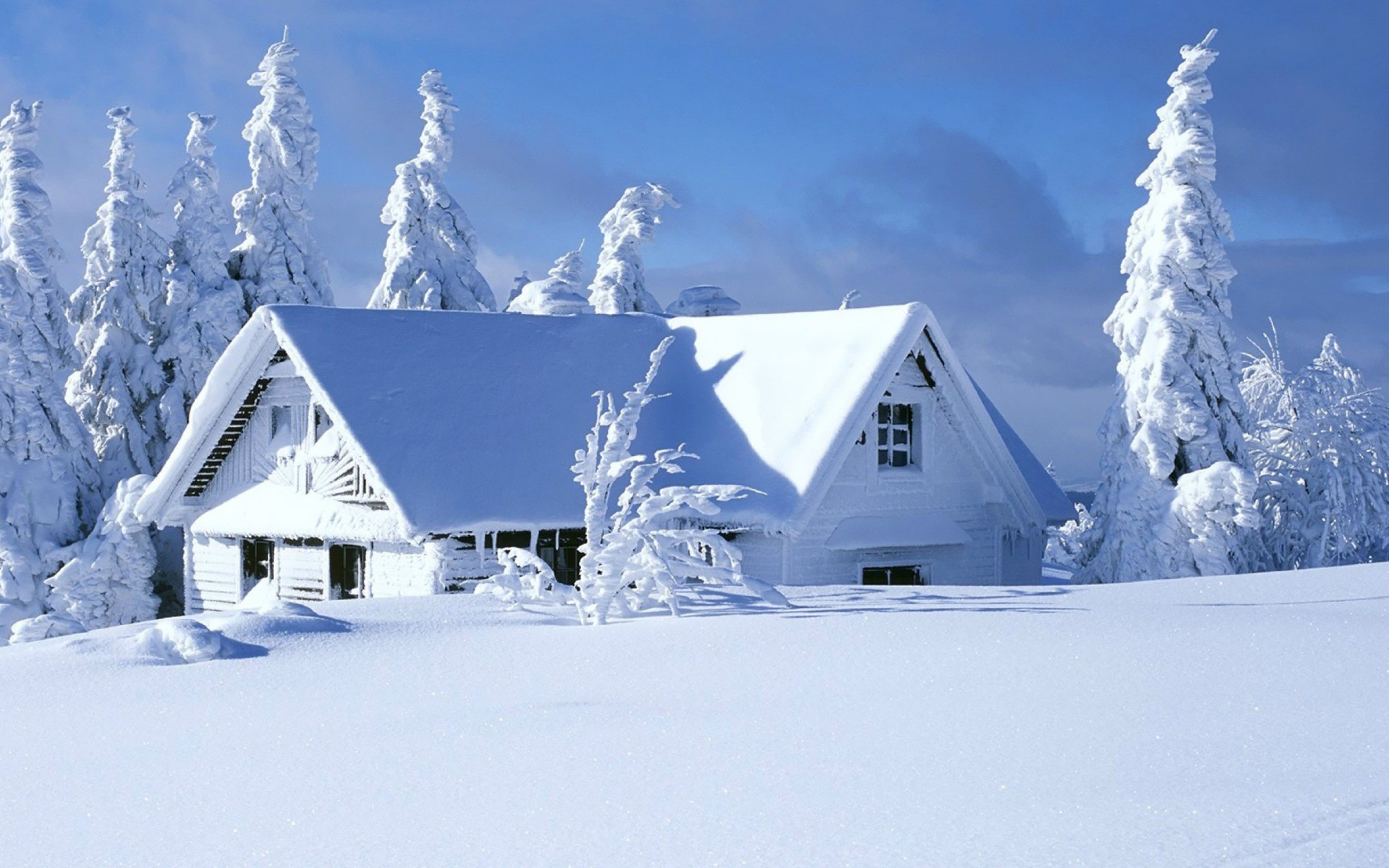 Wallpaper #yJyF4pIBZHQxiYarucCZ56 4K Winter Wallpaper Wallpapersafari