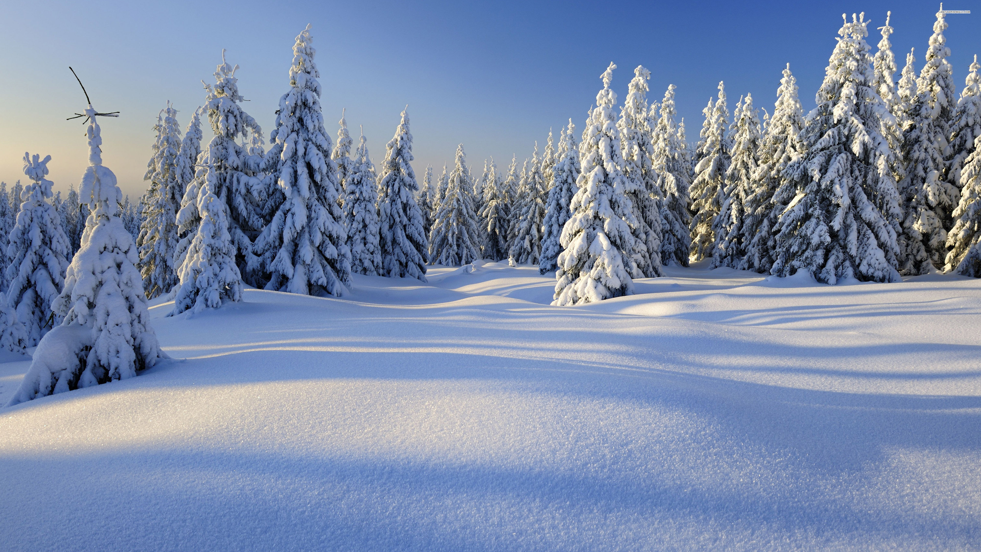 Wallpaper #Xh0aK5MBlOZrFDOkCcW-20 100 4K Winter Wallpapers Wallpapersafari