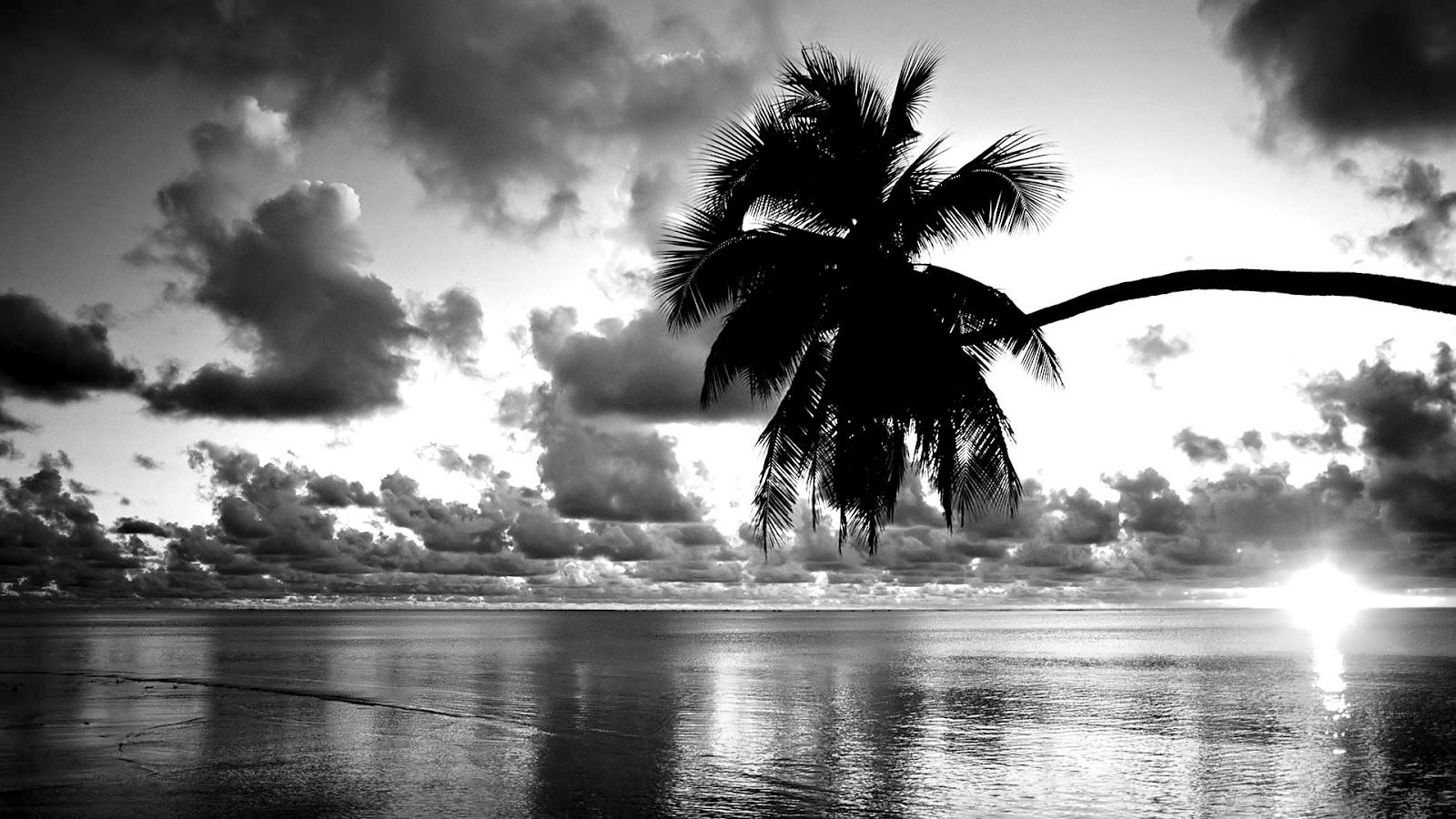 Wallpaper #LRlaOI8BtGB6xQ78LagM3 50 Black Screensavers and Wallpaper Wallpapersafari