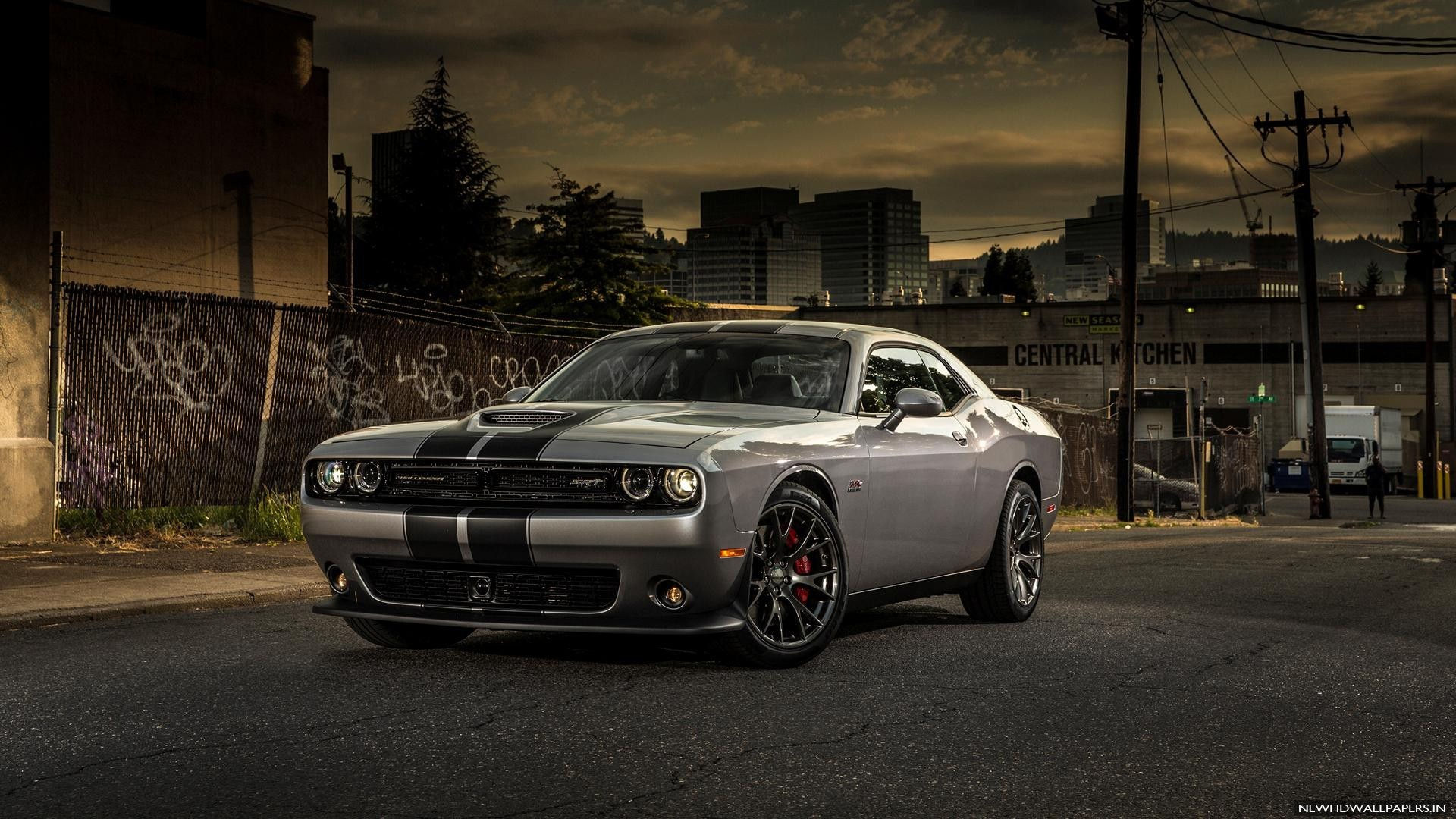 Wallpaper #-f_Ma5MB3lSXT3zUB-gi49 47 HD Dodge Challenger Wallpapers Wallpapersafari