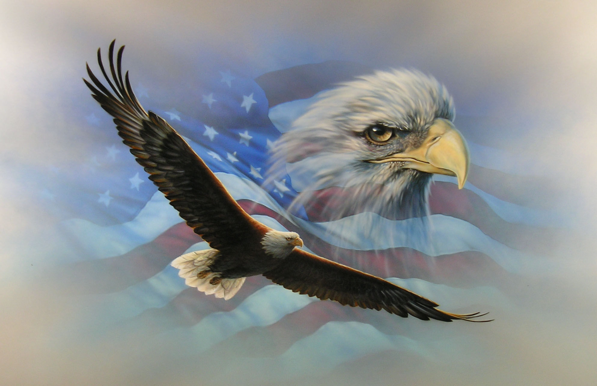 Wallpaper #6ef95 11209 Gier Eagle Images Stock Photos Vectors Shutterstock