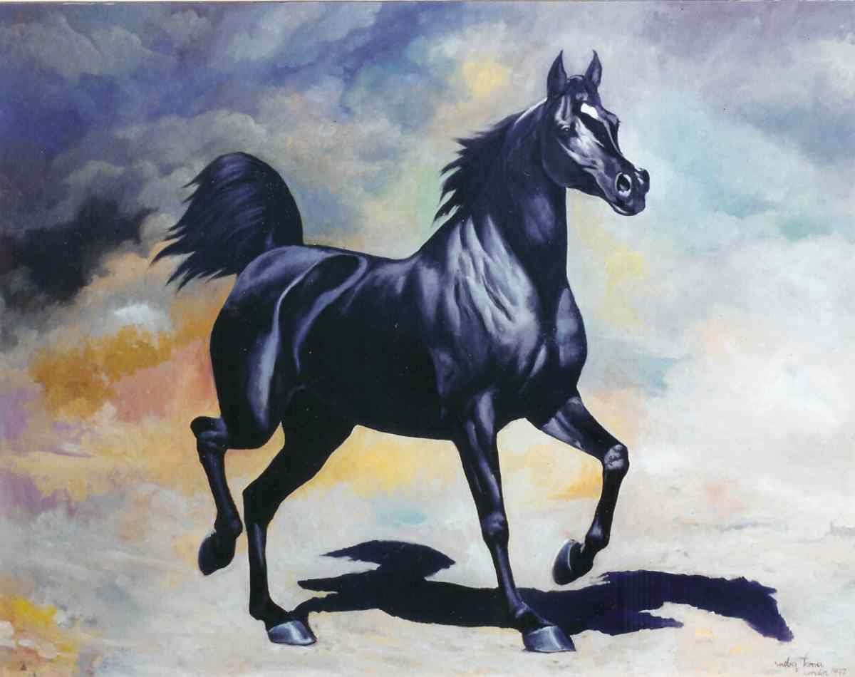 Wallpaper #-x2ULJMBlOZrFDOkz8qk281 Download Arab Black Horse Desktop Wallpaper by at Sethh66 Arabian