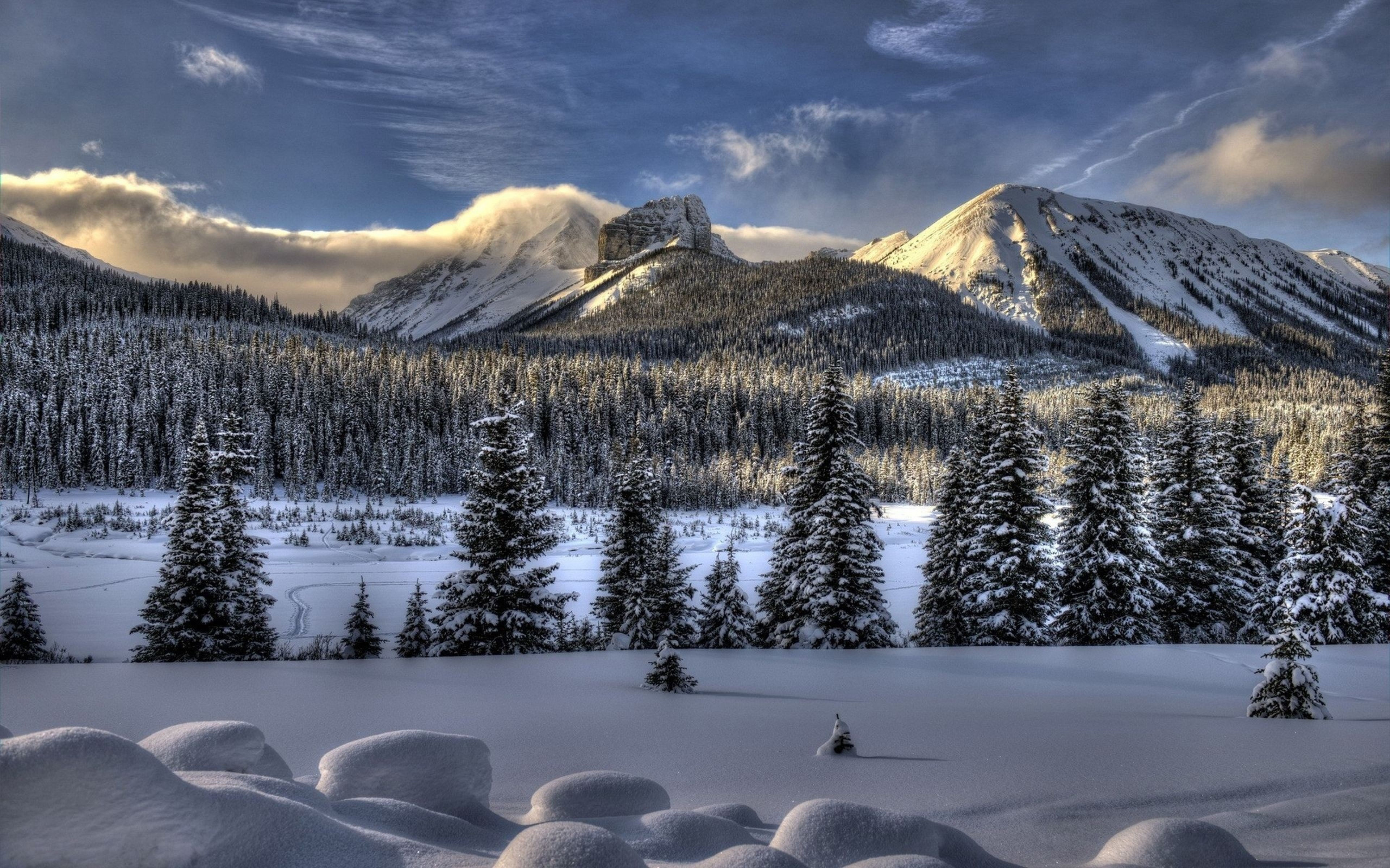 Wallpaper #yJyF4pIBZHQxiYarucCZ149 50 4K Snow Wallpapers Wallpapersafari