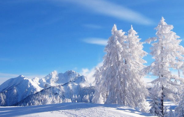 Wallpaper #yJyF4pIBZHQxiYarucCZ181 100 4K Winter Wallpapers Wallpapersafari