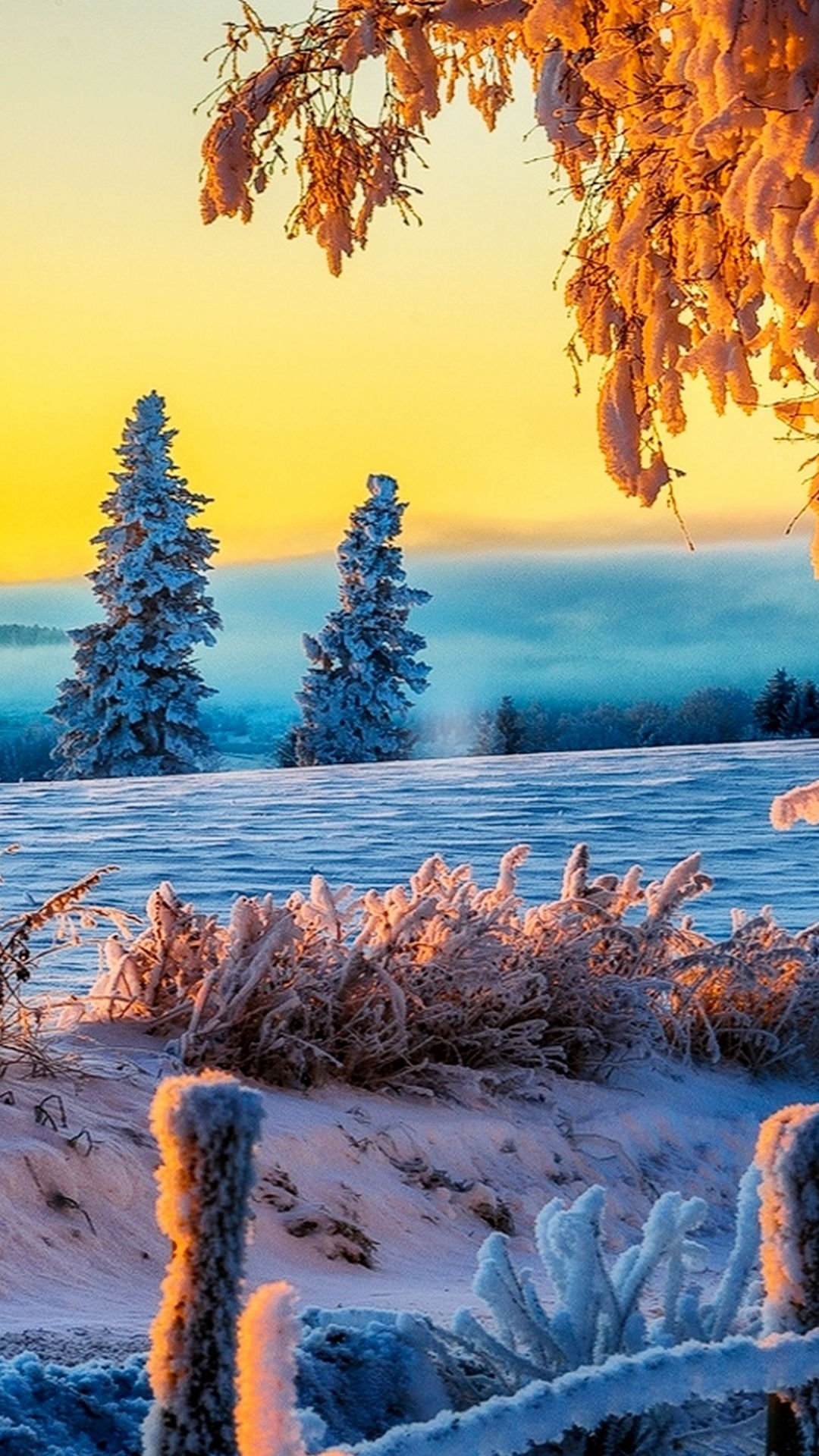 Wallpaper #yJyF4pIBZHQxiYarucCZ195 100 4K Winter Wallpapers Wallpapersafari