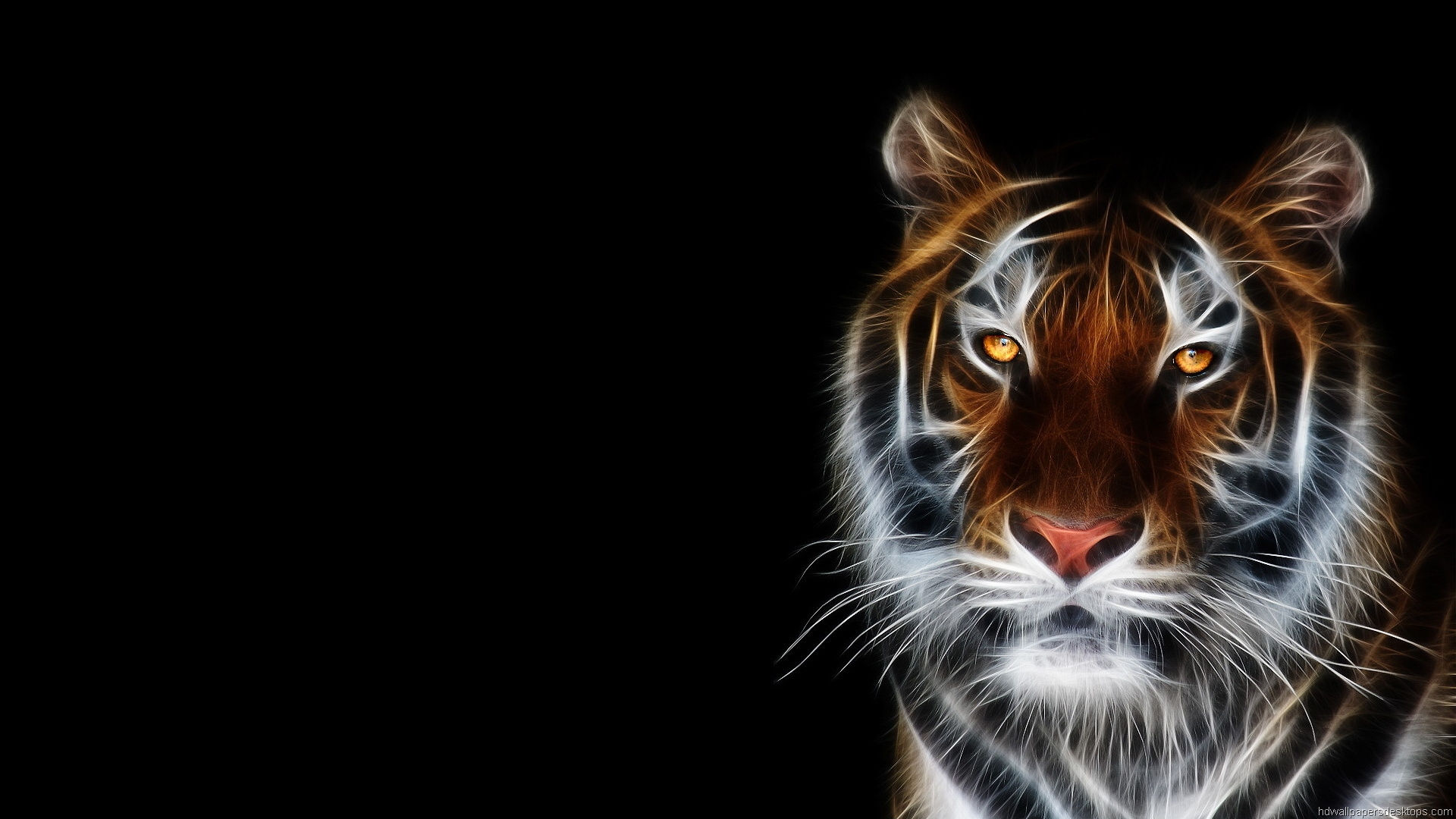 Wallpaper #pn1T8o4Bnwiau_P6LQu-49 47 HD Animal Wallpapers for Desktop Wallpapersafari