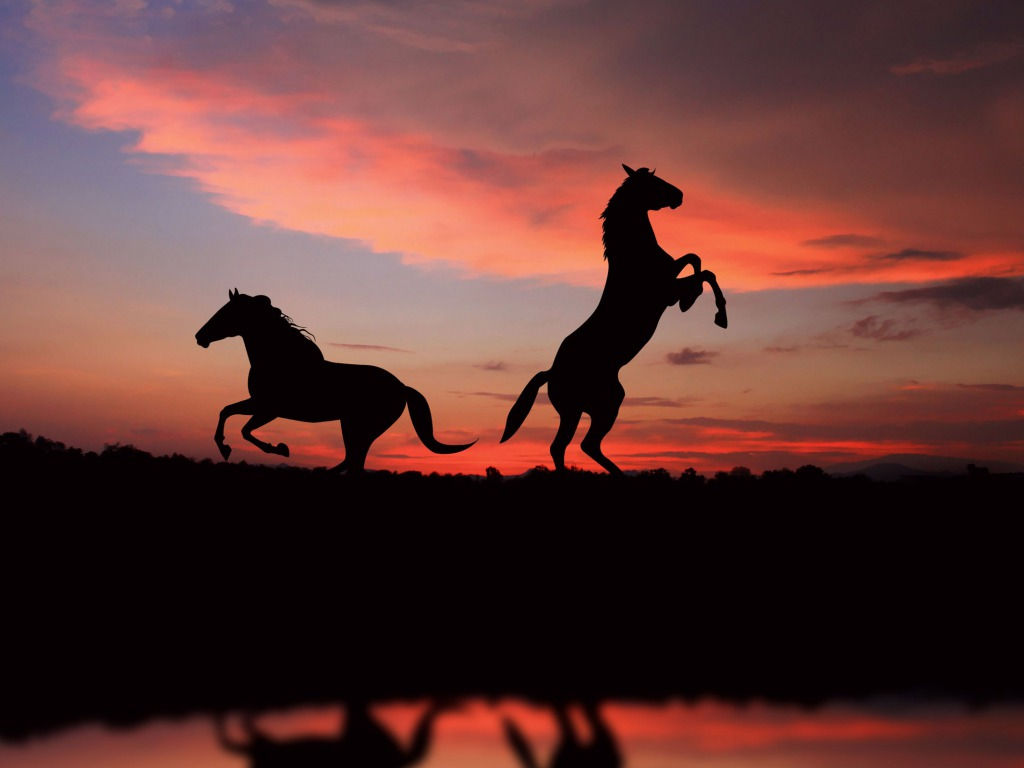 Wallpaper #HWdNCpMBSpphPi3-pNQH236 48 Horses Wallpapers for Desktop Wallpapersafari