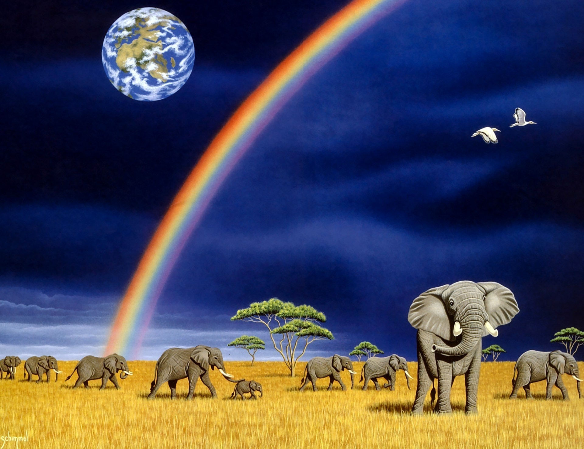 Wallpaper #sHfNJ5MB-pgBXx60h6cK372 Elephant Wallpapers for Computers Wallpapersafari