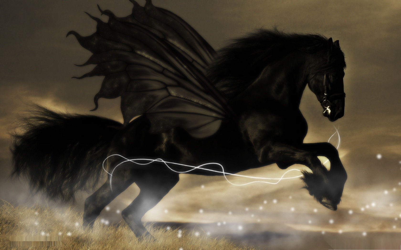 Wallpaper #bWfaEpMBSpphPi3-4_0h390 Dark Horse Wallpaper Wallpapersafari