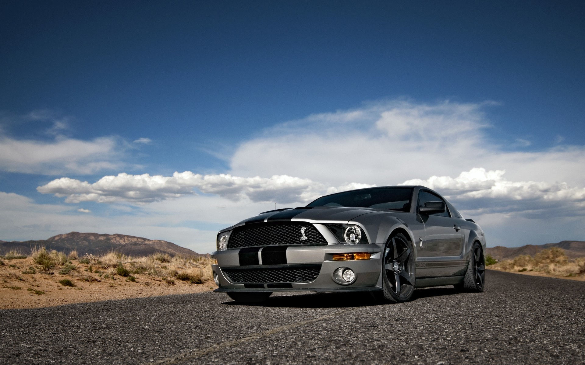 Wallpaper #ykVIl44B7YBJg1BVNaA641 48 Ford Mustang Shelby Desktop Wallpaper Wallpapersafari