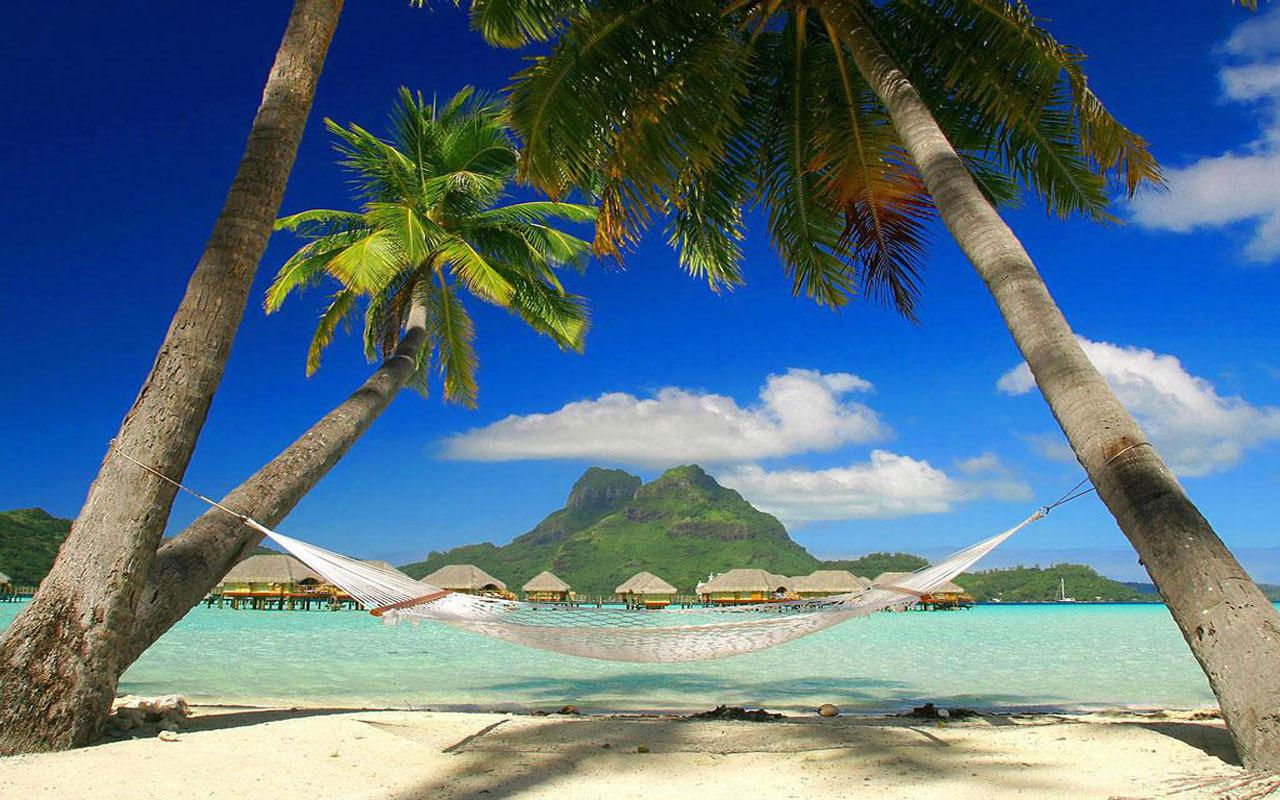 Wallpaper #Na7BM5MBayWjSq6HJRzN195 Free Download Description Beach Live Wallpapers Beach Live Wallpapers