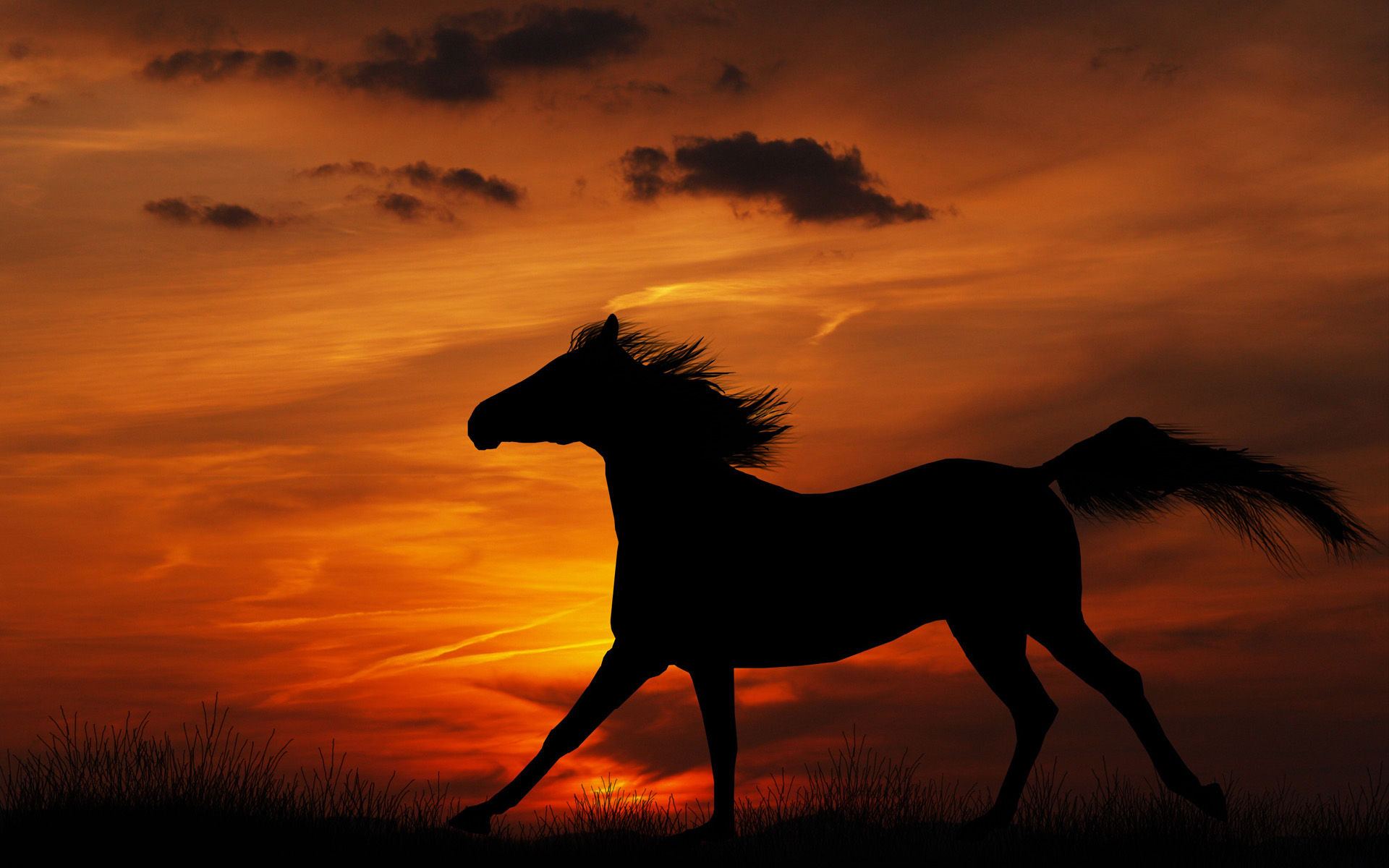 Wallpaper #DR2ZLJMBlOZrFDOkSMvb79 76 Free Desktop Backgrounds Horses Wallpapersafari