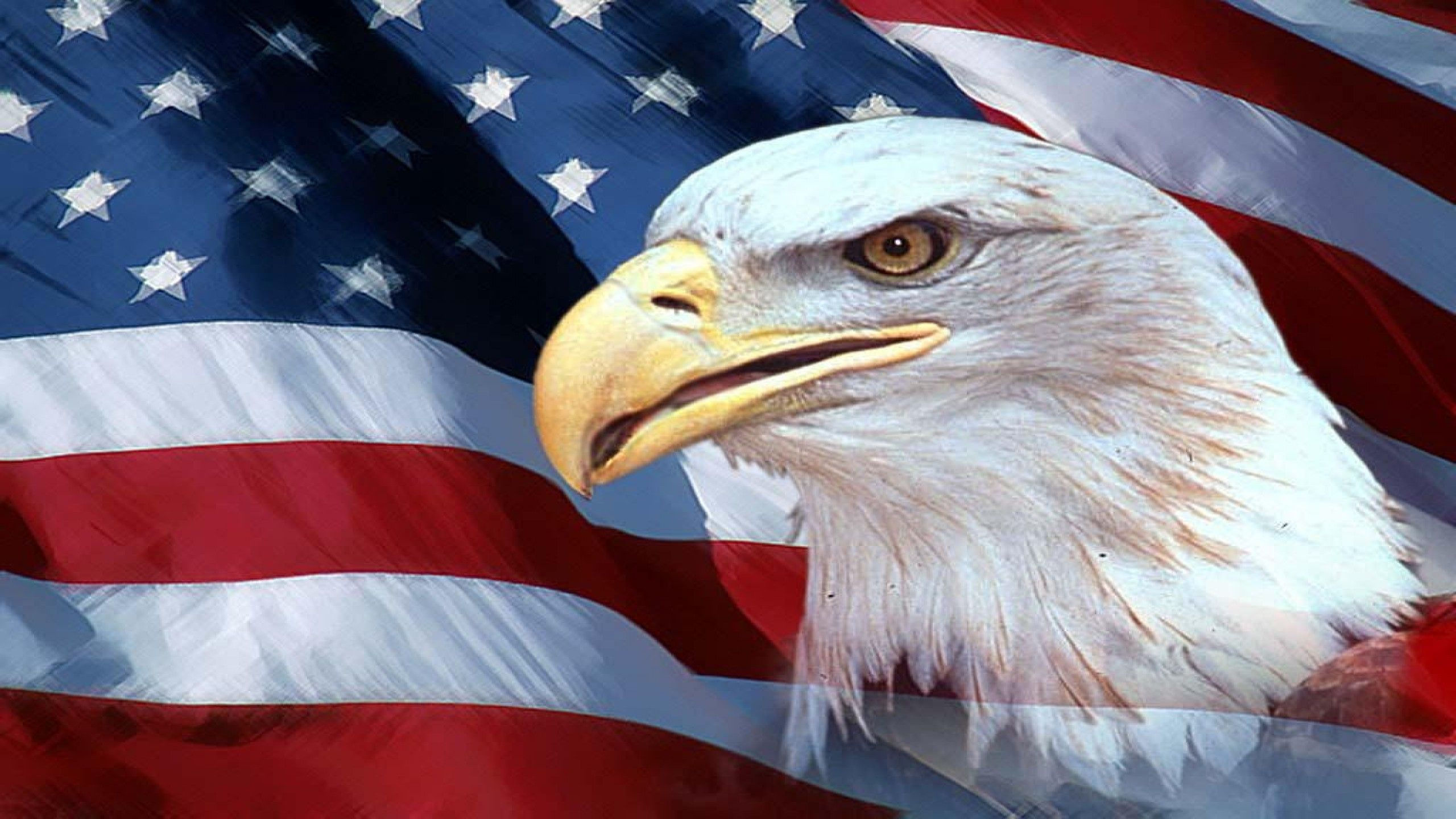 Wallpaper #6ef95 11209 Gier Eagle Images Stock Photos Vectors Shutterstock
