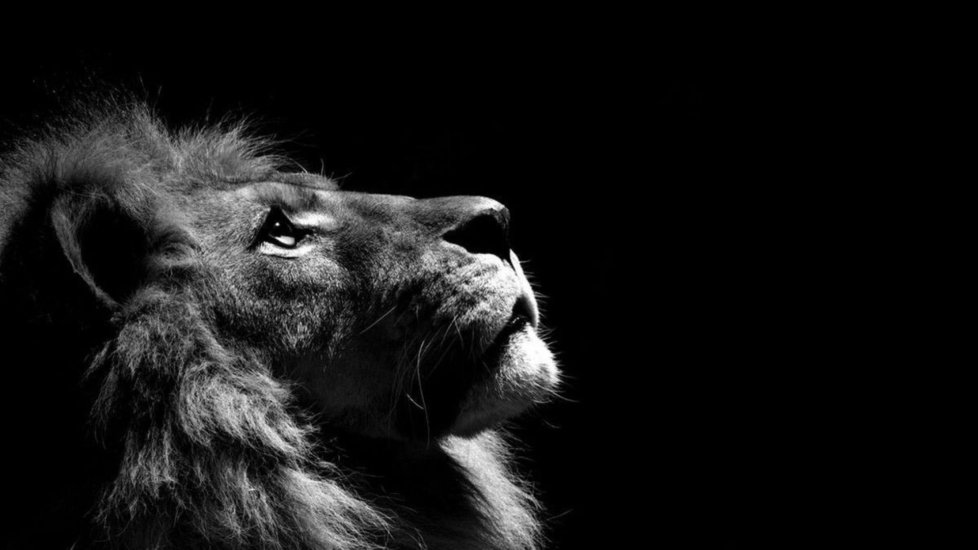 Wallpaper #LRlaOI8BtGB6xQ78LagM11 48 1080p Black and White Wallpaper Wallpapersafari