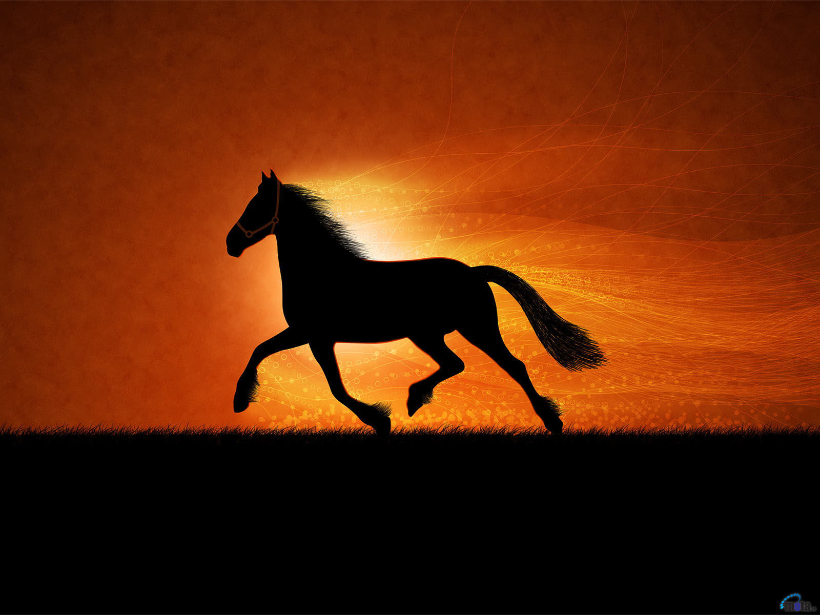 Wallpaper #QH1m8I4Bnwiau_P6ugZ453 Cute Horse Wallpapers Wallpapersafari