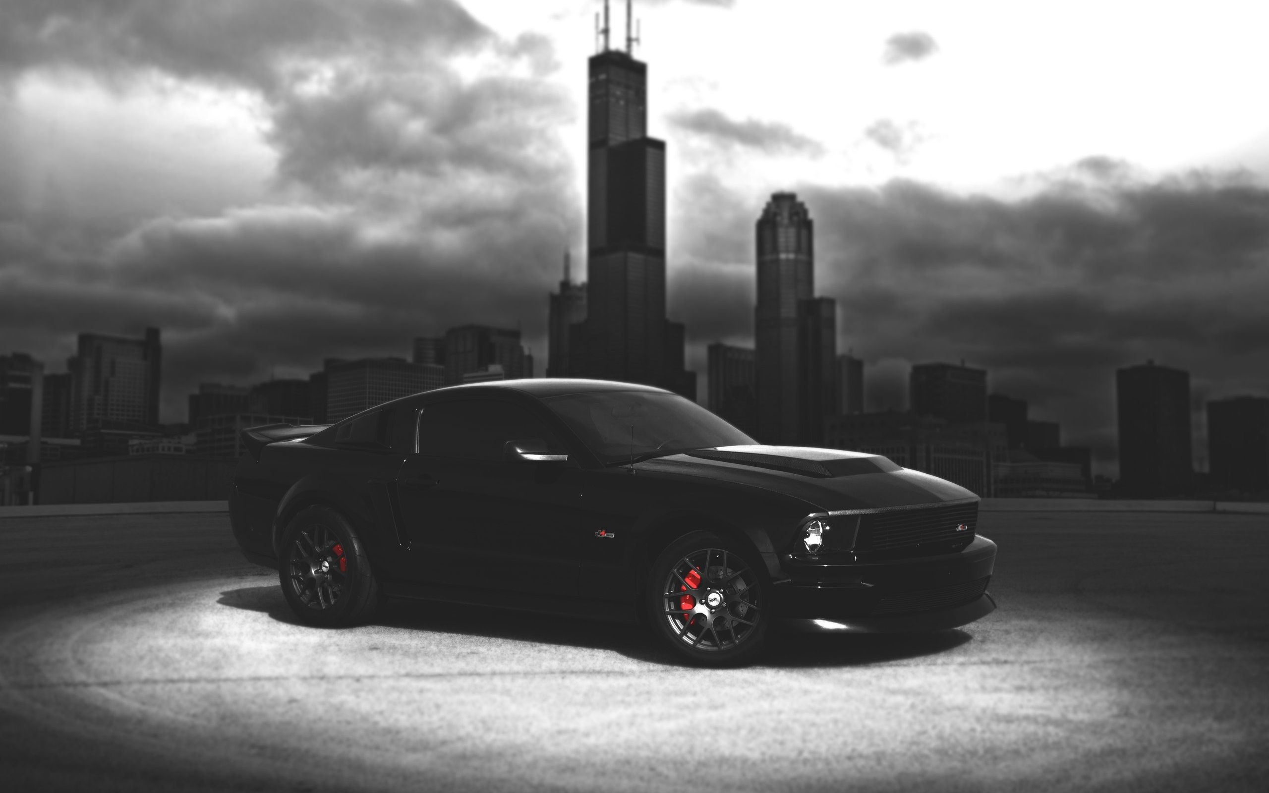 Wallpaper #tHPvhY4BFI5NbQks8R7Q50 43 Black Mustang Wallpaper Wallpapersafari