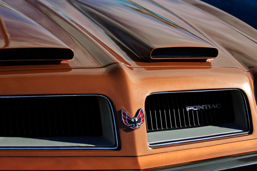 Wallpaper #27nm3ZIBJvJKYCmENgI371 1974 Pontiac Firebird Grille Emblem Photograph by Jill Reger