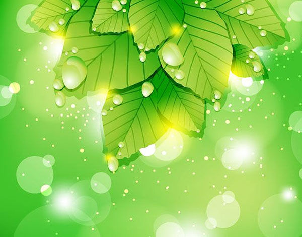 Wallpaper #Brh_2pIBJvJKYCmEEPI447 Free Vector 7f0