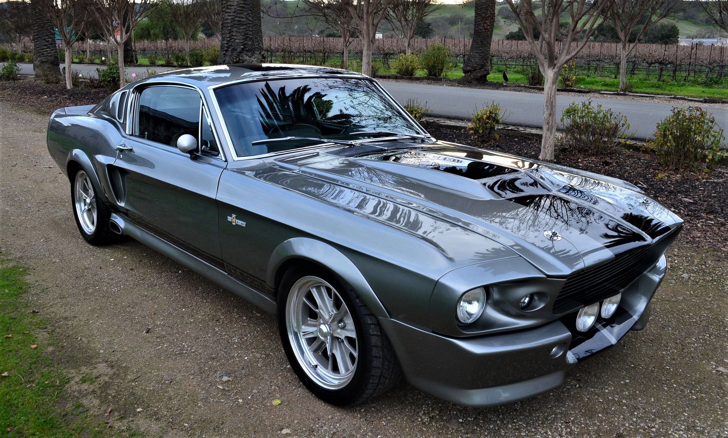 Wallpaper #G0C3L5MBJhL2WPbaxL7T327 Picture of Eleanor Mustang