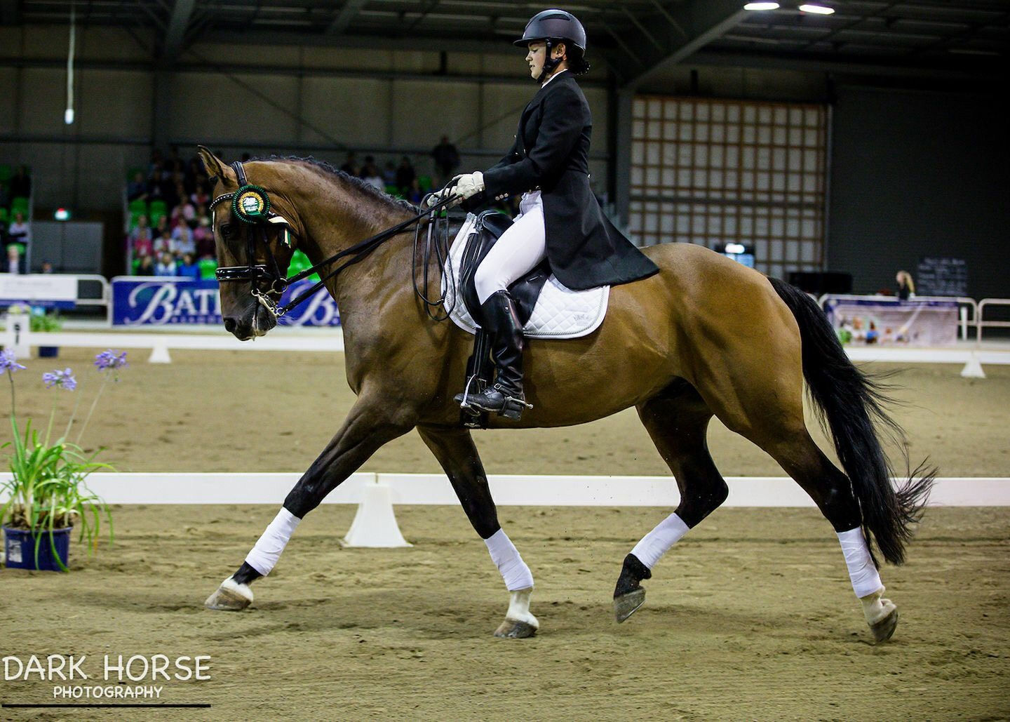 Wallpaper #CR2YLJMBlOZrFDOk0ssm159 Young Rider Dressage Team Selected for Queensland Esnz
