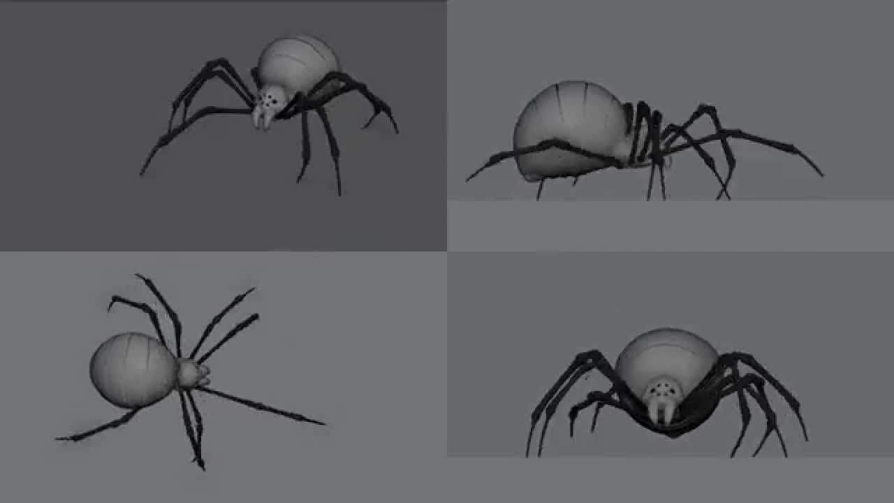 Wallpaper #0py84pIBZHQxiYarPcGv32 Spider Walk Cycle Final 4 Views Youtube