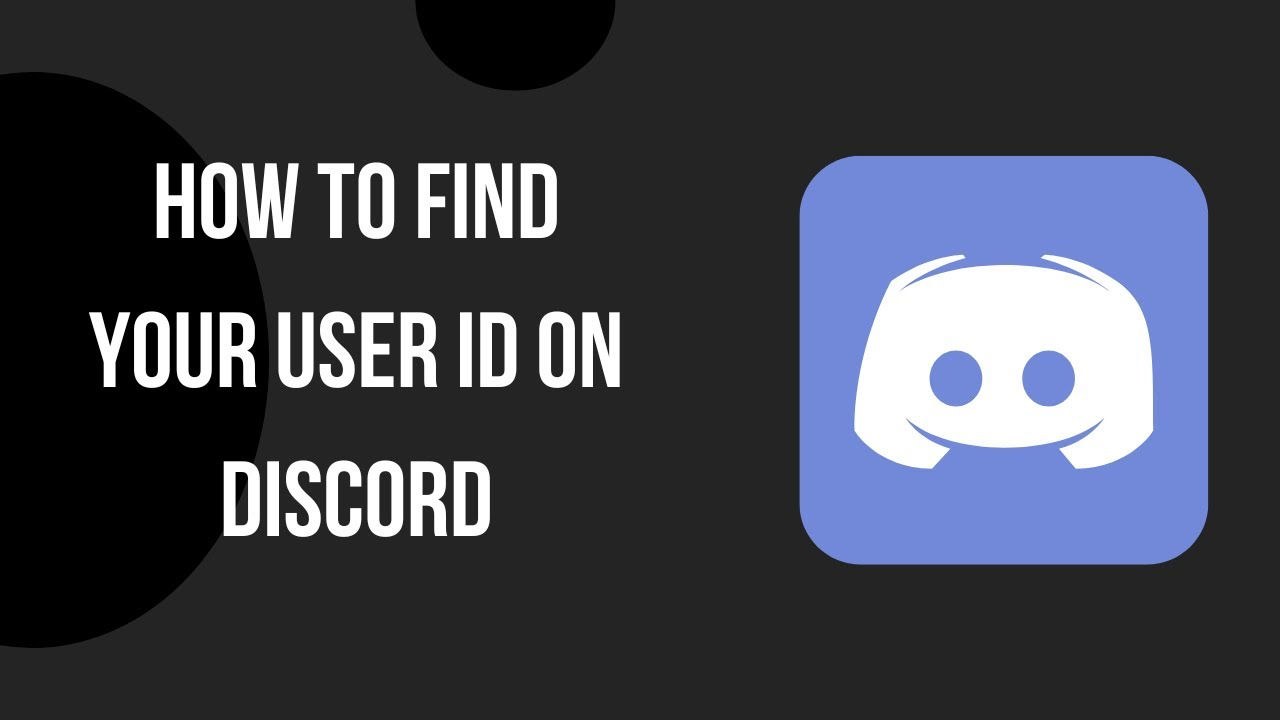 Wallpaper #Erja2JIBJvJKYCmEBeo_175 How to Find Your User Id on Discord Youtube