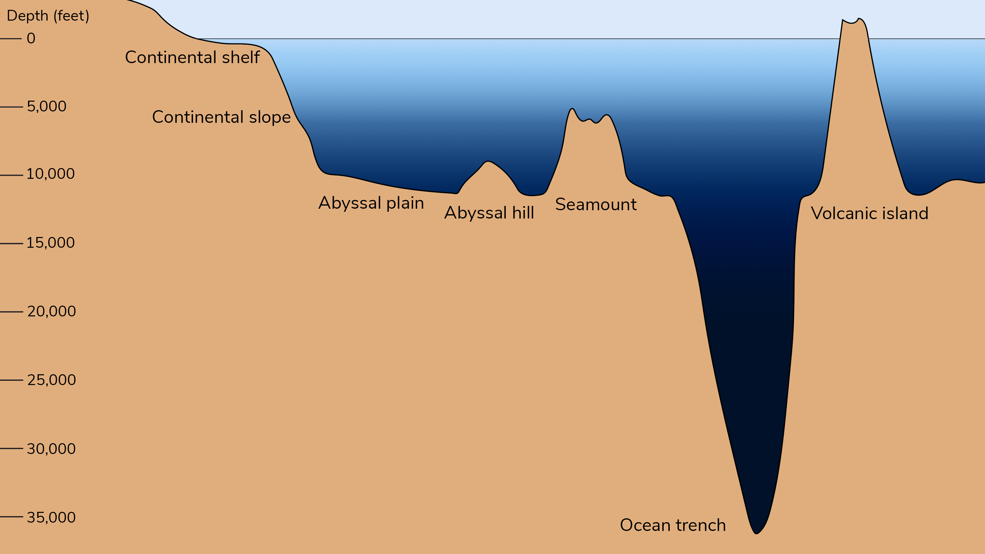 Wallpaper #4xk2FY8BtGB6xQ78xGqz33 Exploring the Ocean Floor Worksheet Answers Floor Roma
