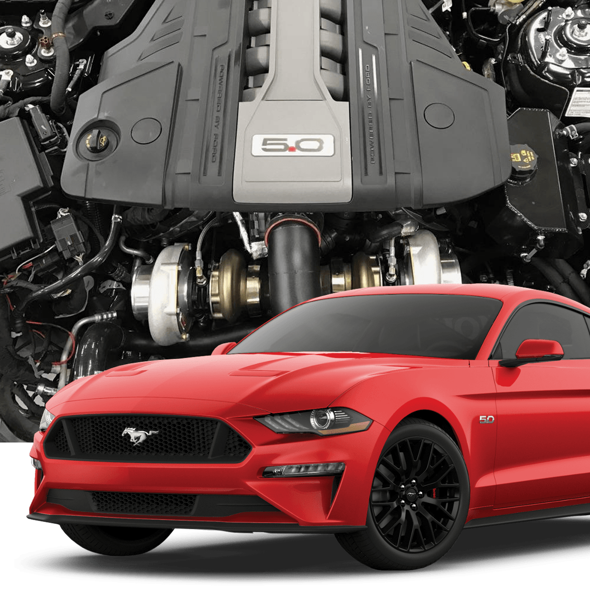 Wallpaper #1b1dd Full Race Precision Nx2 Mustang Ecoboost 23l Bolt on Turbo Upgrade