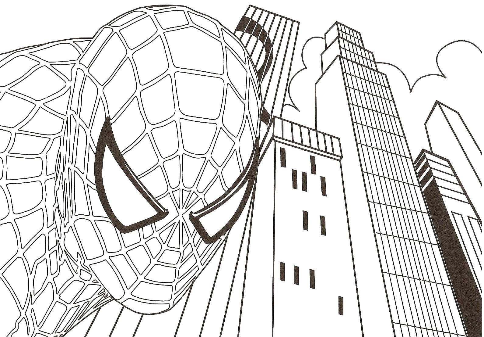 Wallpaper #7BGlM5MBXrlMTfB52Epu382 Disegni Spiderman Da Colorare Gratis