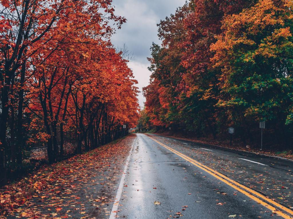 Wallpaper #rWgUHJMBSpphPi3-8SFd275 Driving Tips for Autumn Carcliq
