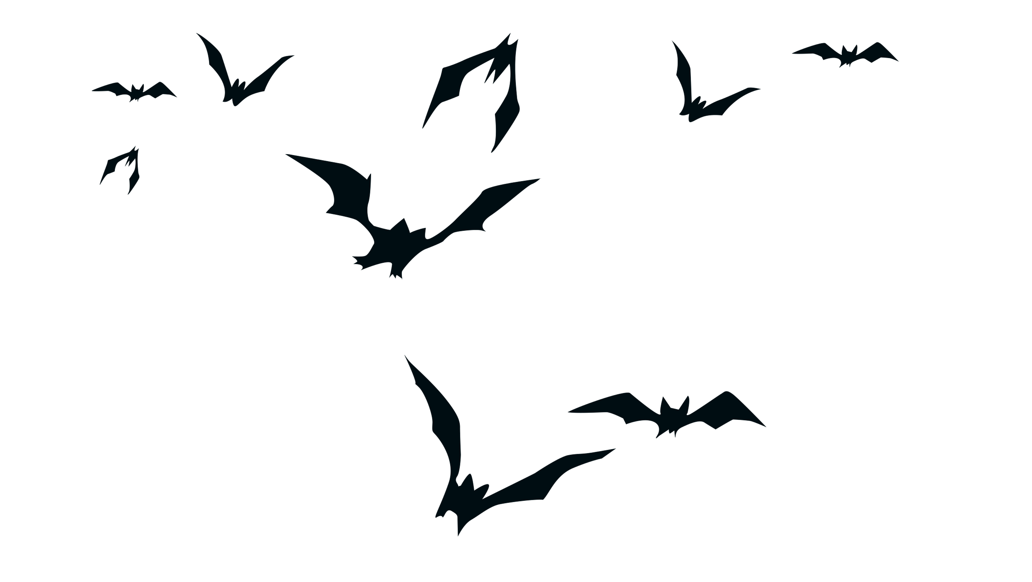 Wallpaper #xBk1Ho8BtGB6xQ78c3jW15 Bats Transparent Image Download the Bat Animals Png on Freepngimg