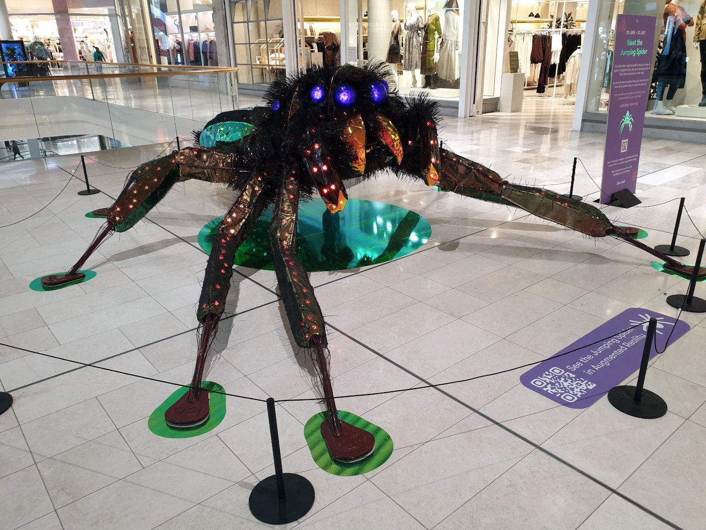 Wallpaper #wmfS65IBSpphPi3-9k4K244 Glass Wings Photos Ringwood Eastland Jumping Spider Sculpture 1