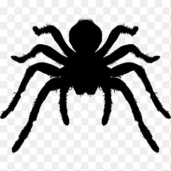 Wallpaper #71bf1 Pin by Kayleigh on Spider Drawings in 2024 Spiderman Drawing