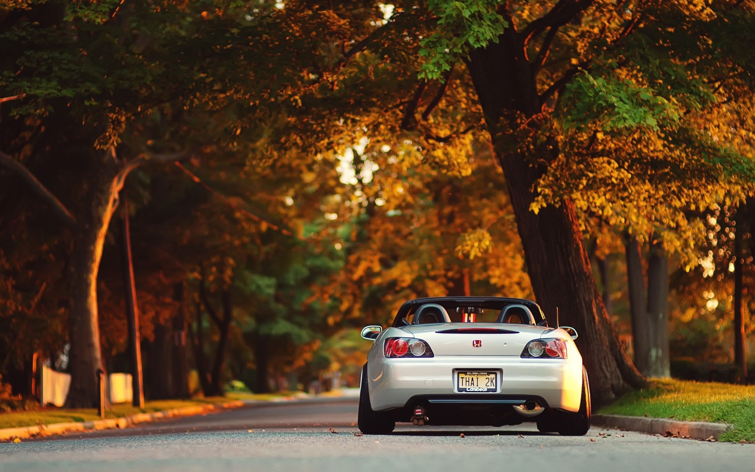 Wallpaper #r0U0l44B7YBJg1BVZKDq47 Honda S2000 Autumn HD Cars 4K Wallpapers Images Backgrounds Photos