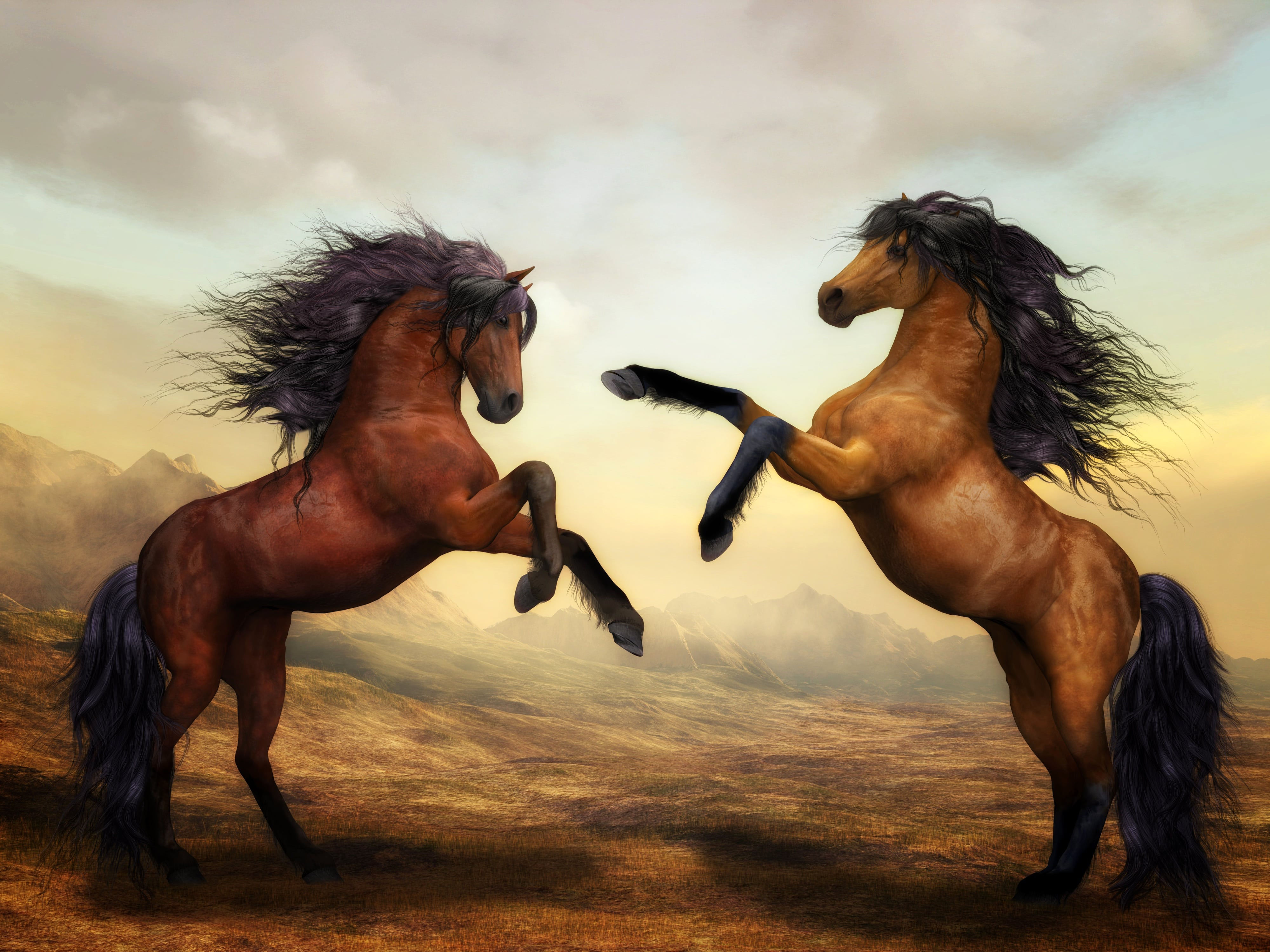 Wallpaper #-x2ULJMBlOZrFDOkz8qk107 Arabian Horse Artistic 4K HD Artist 4K Wallpapers Images