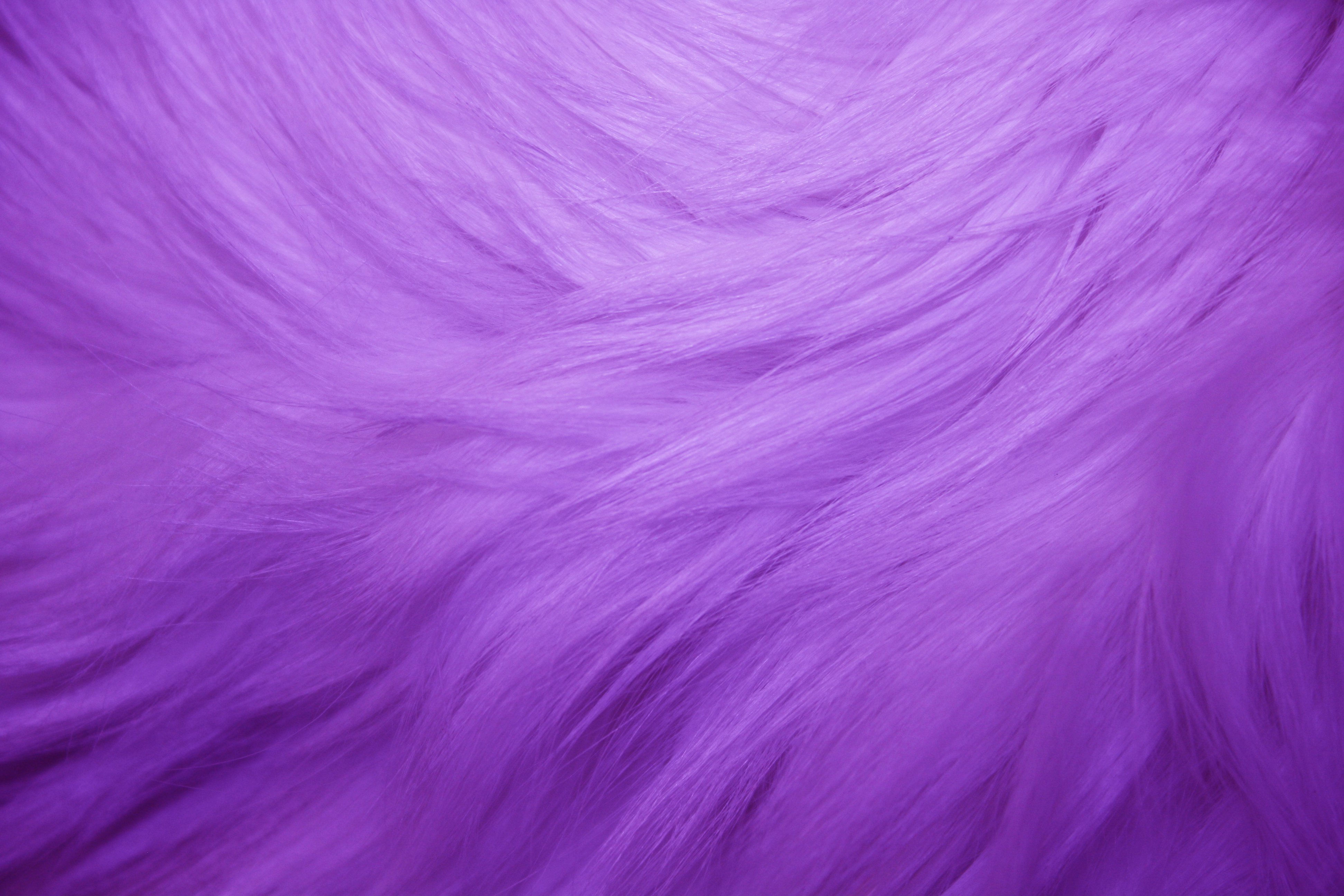 Wallpaper #DkW_oY4B7YBJg1BVmaQ-23 Purple Fur Texture Picture Free Photograph Photos Public Domain
